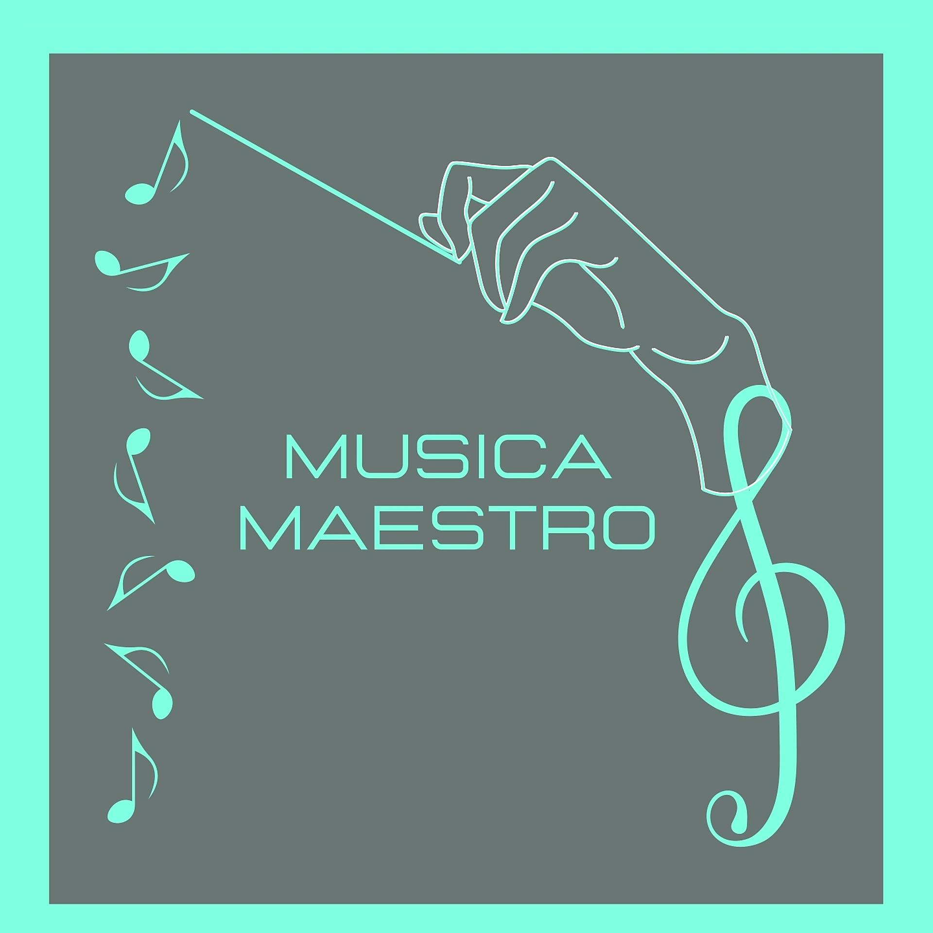 Постер альбома Musica maestro