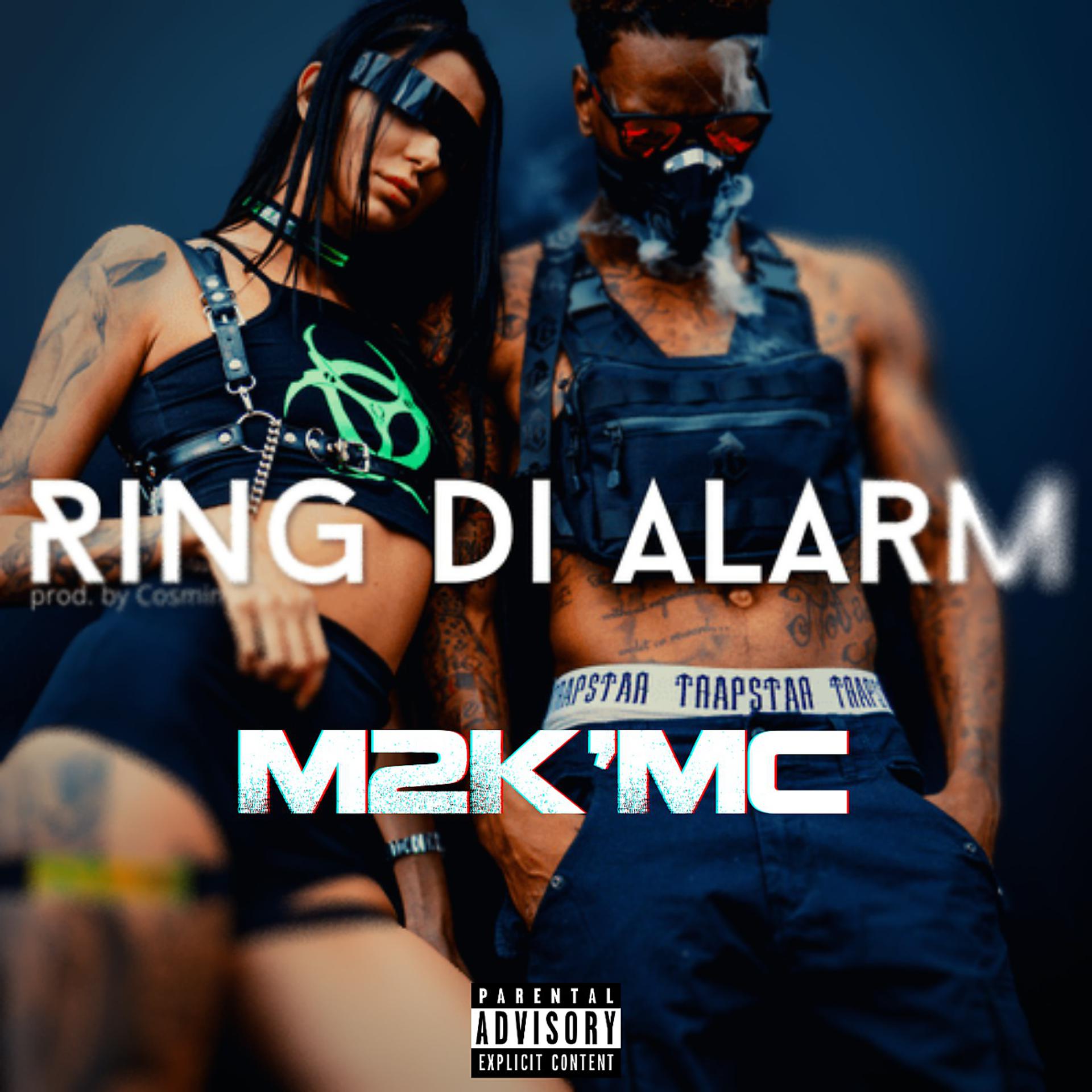Постер альбома Ring Di Alarm