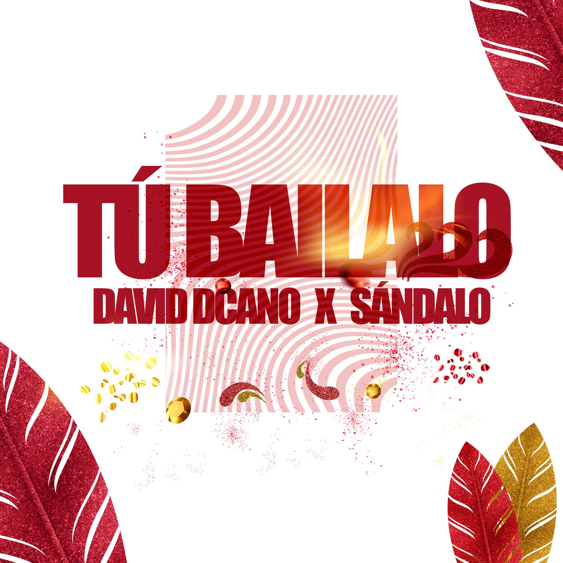 Постер альбома Tú Bailalo
