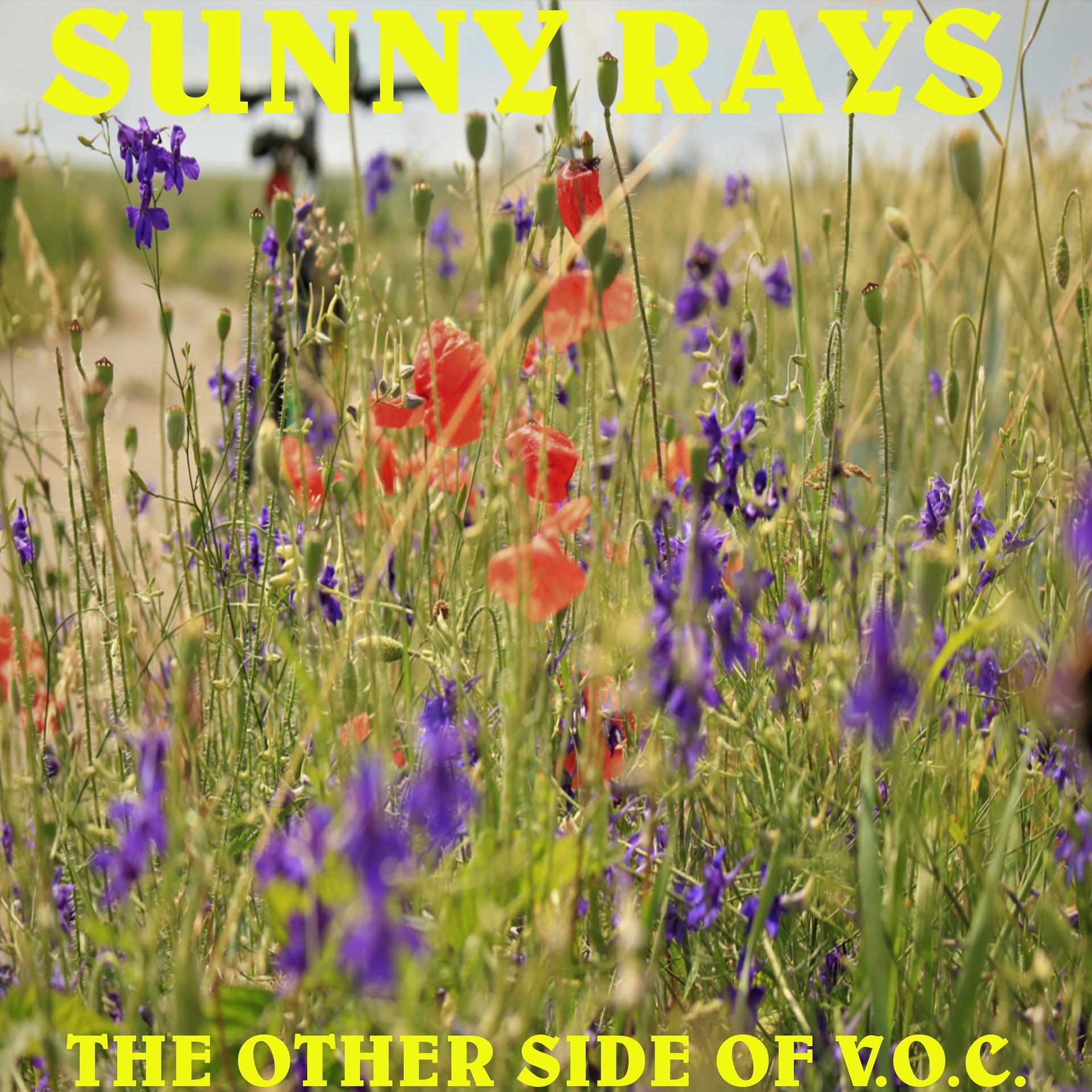 Постер альбома Sunny Rays