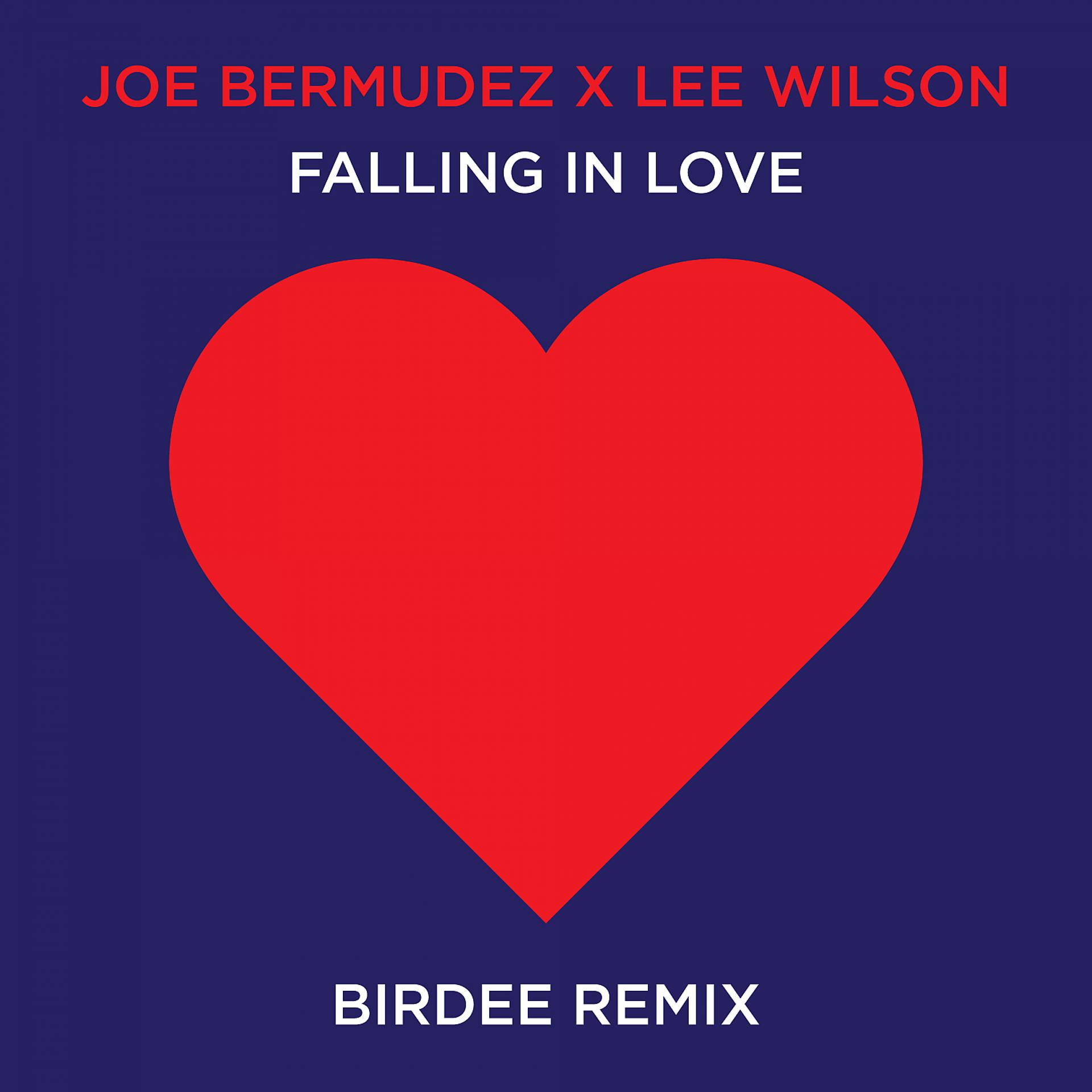 Постер альбома Falling In Love (Birdee Remix)