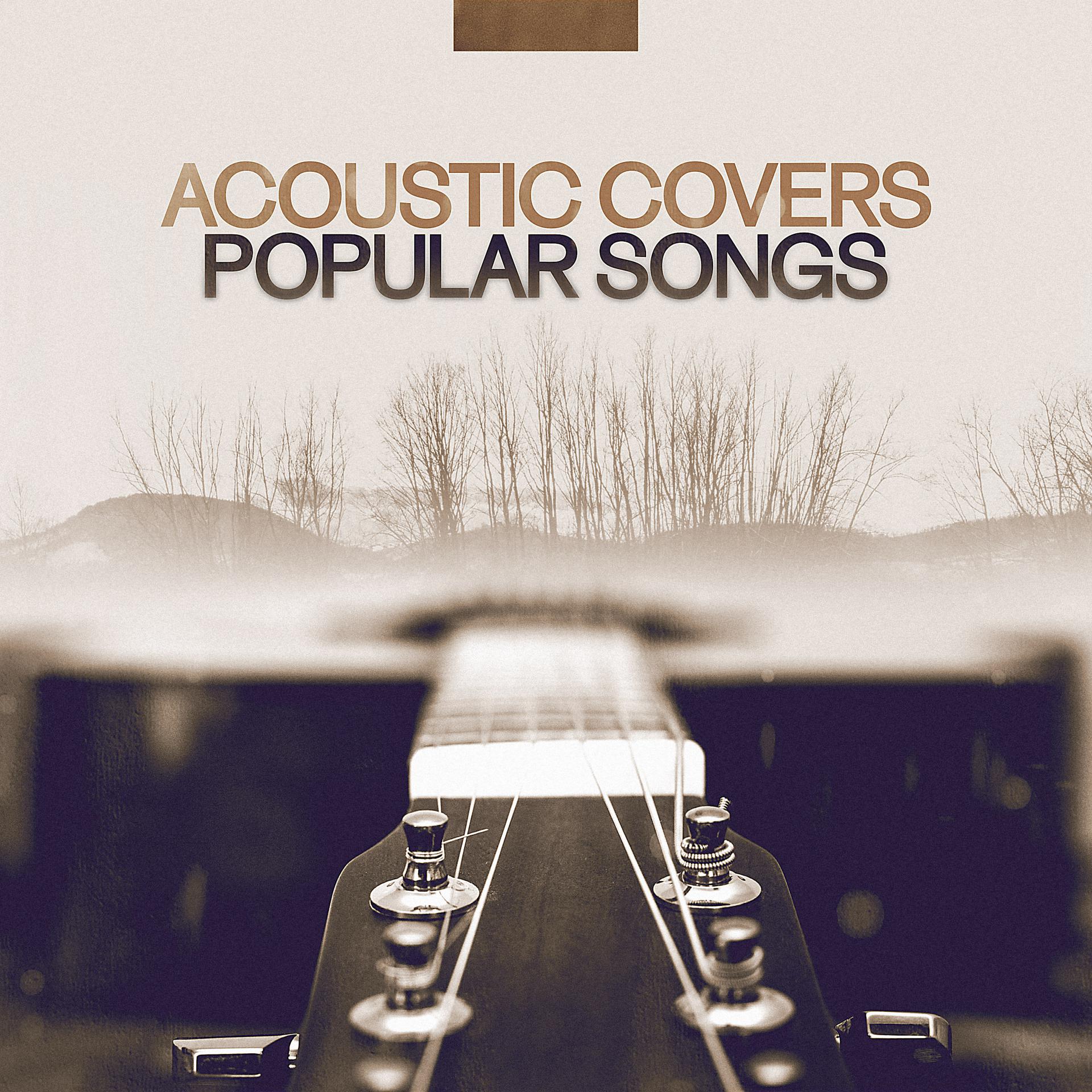 Постер альбома Acoustic Covers Popular Songs