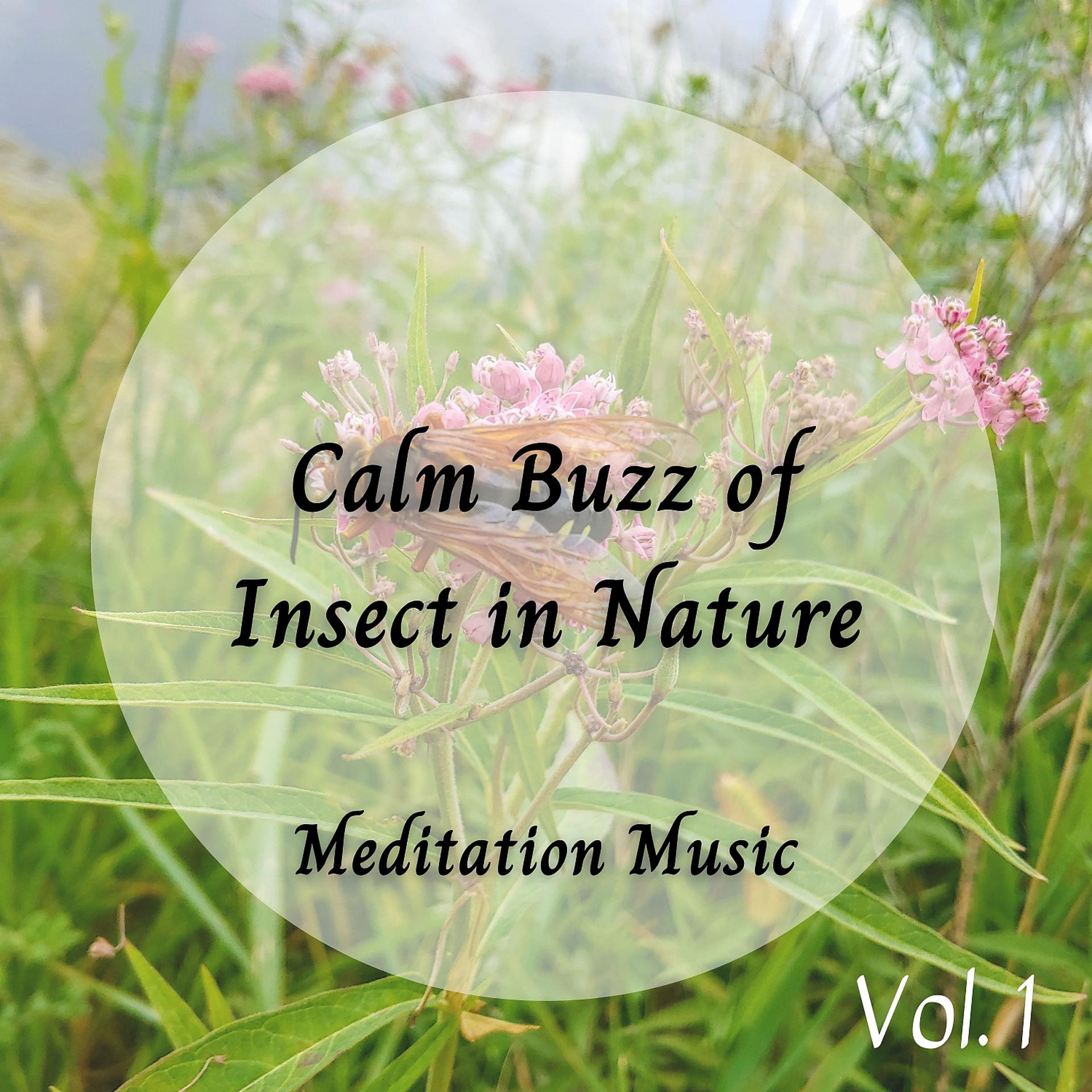 Постер альбома Meditation Music: Calm Buzz of Insect in Nature