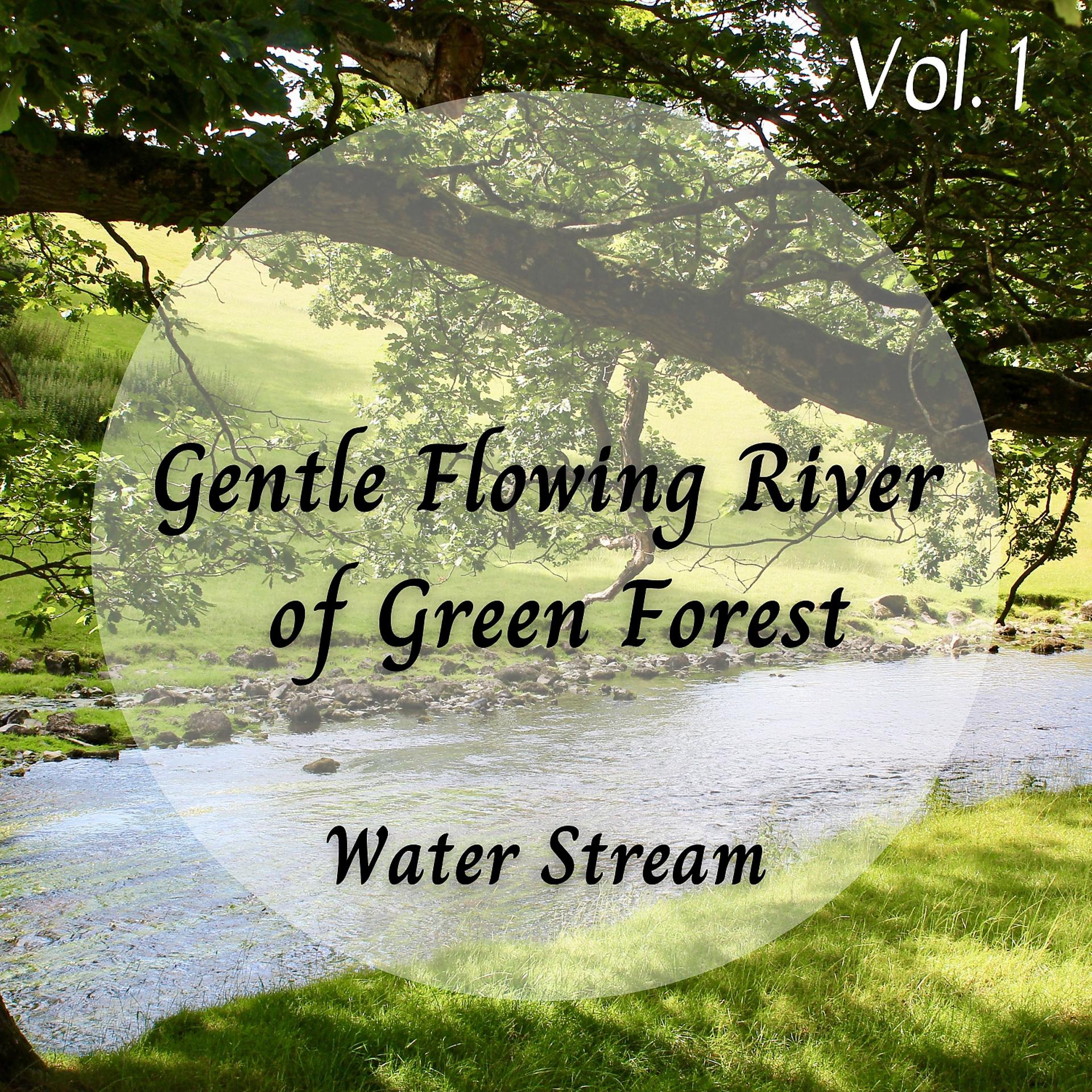 Постер альбома Water Stream: Gentle Flowing River of Green Forest Vol. 1