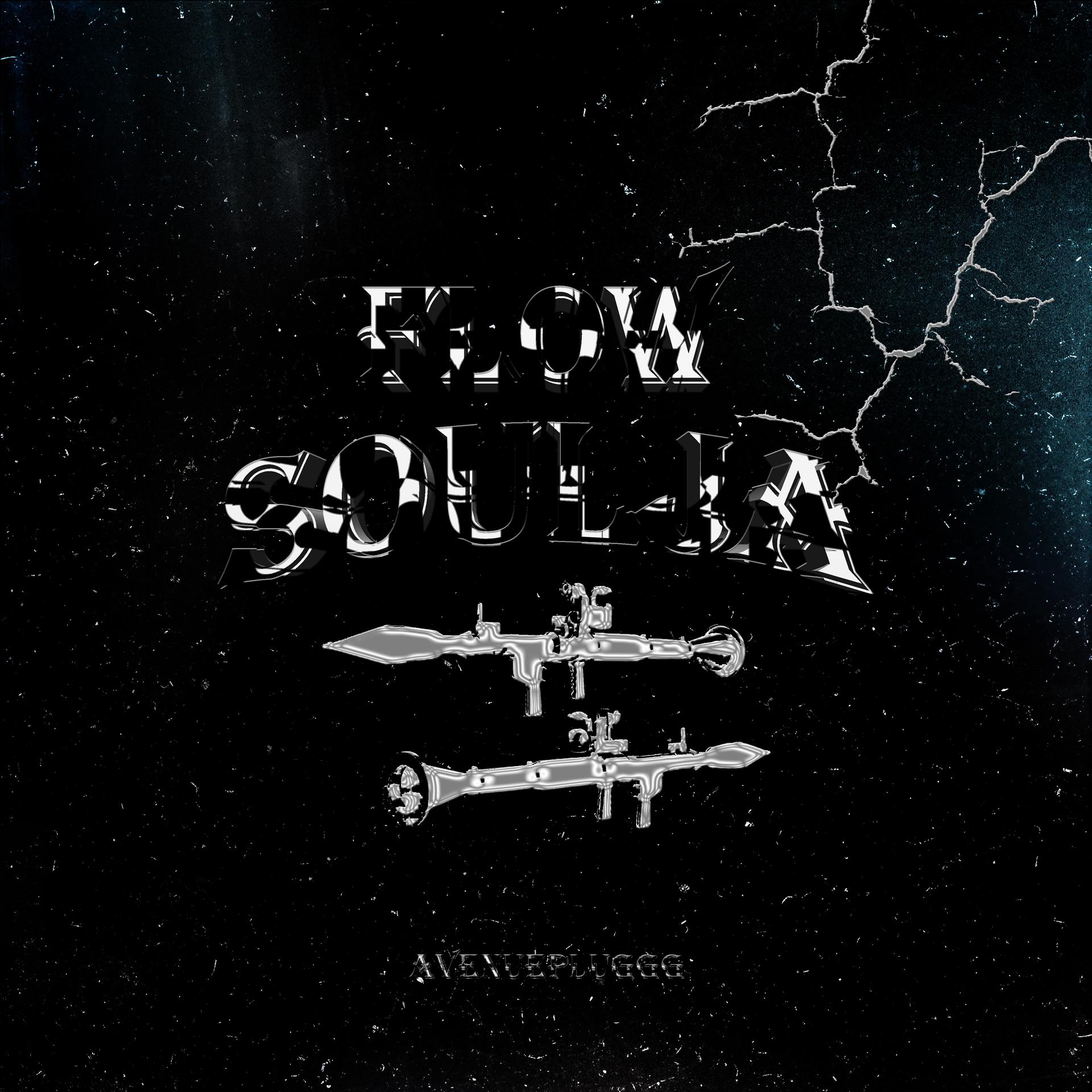 Постер альбома Flow Soulja