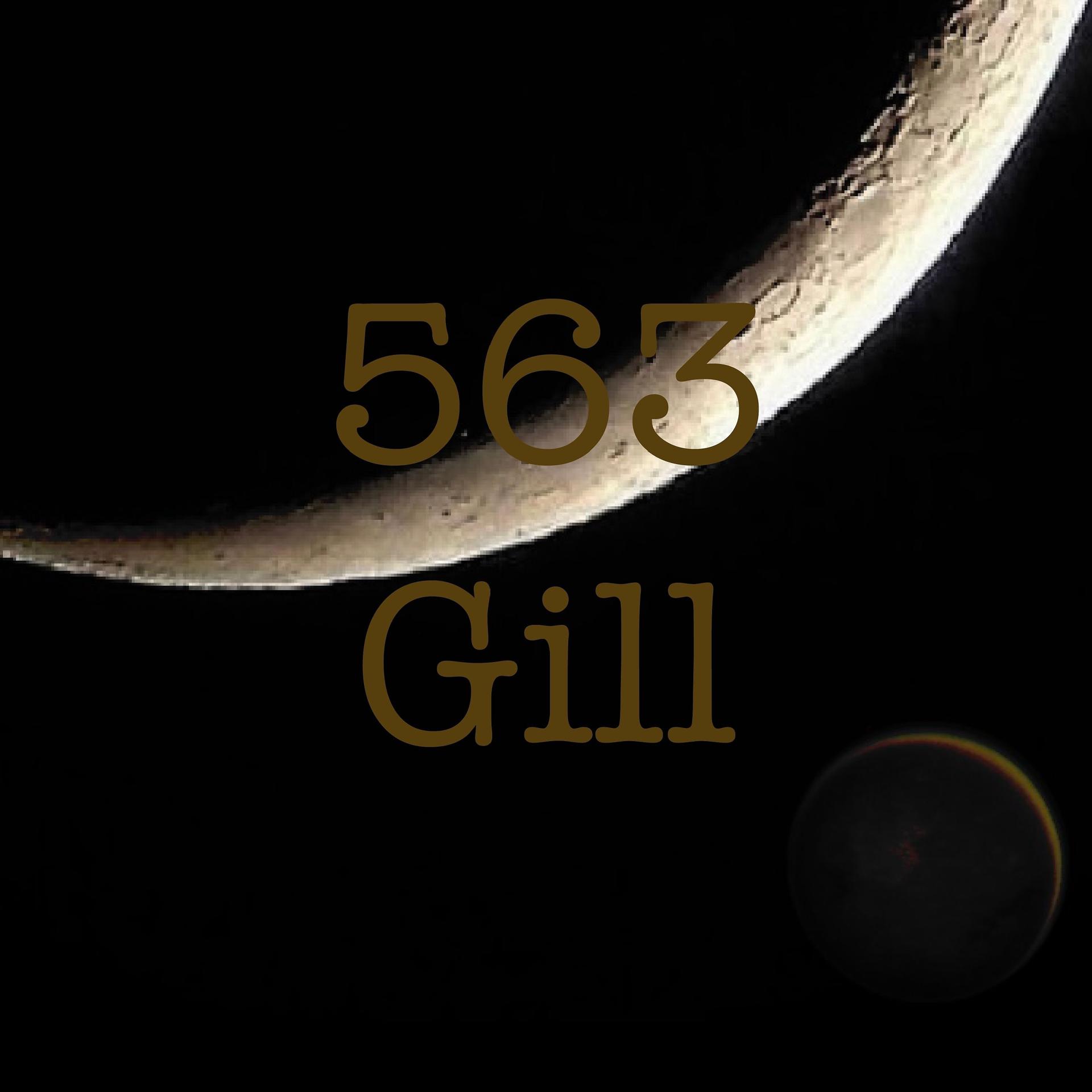 Постер альбома 563 Gill