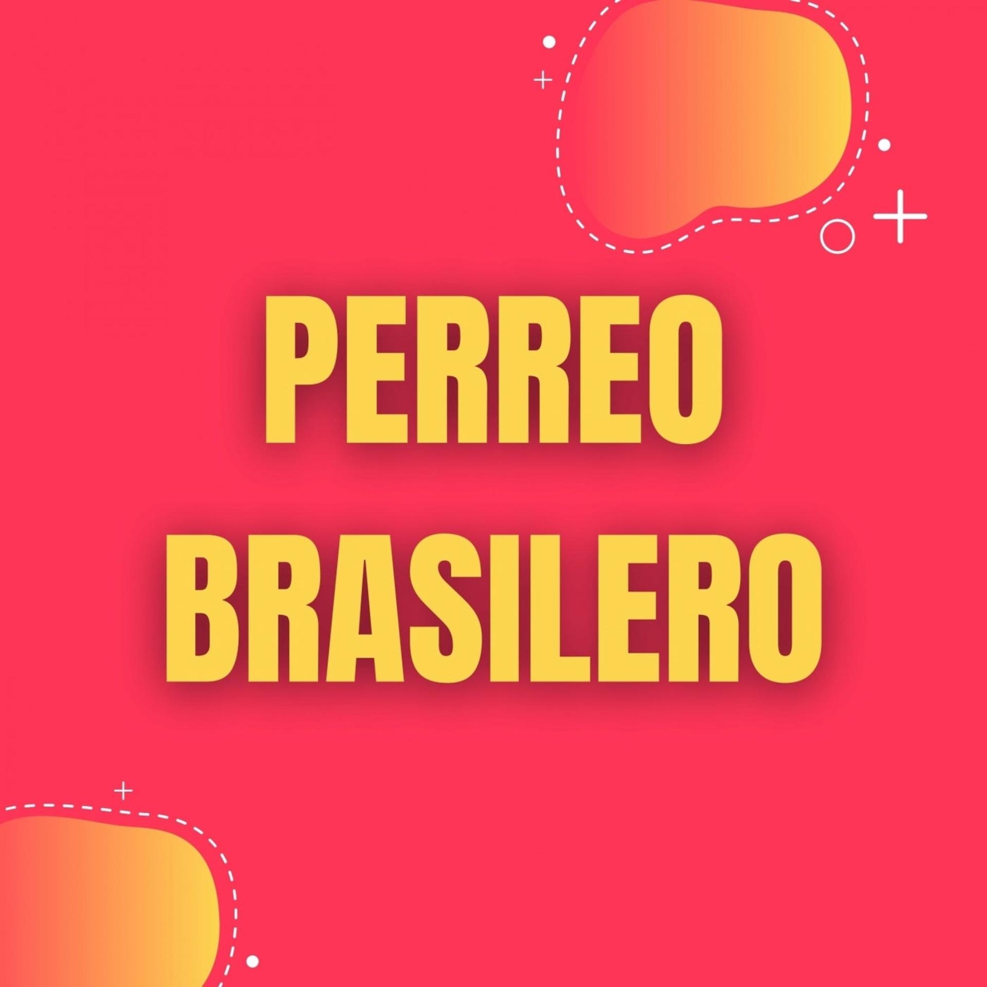 Постер альбома Perreo Brasilero