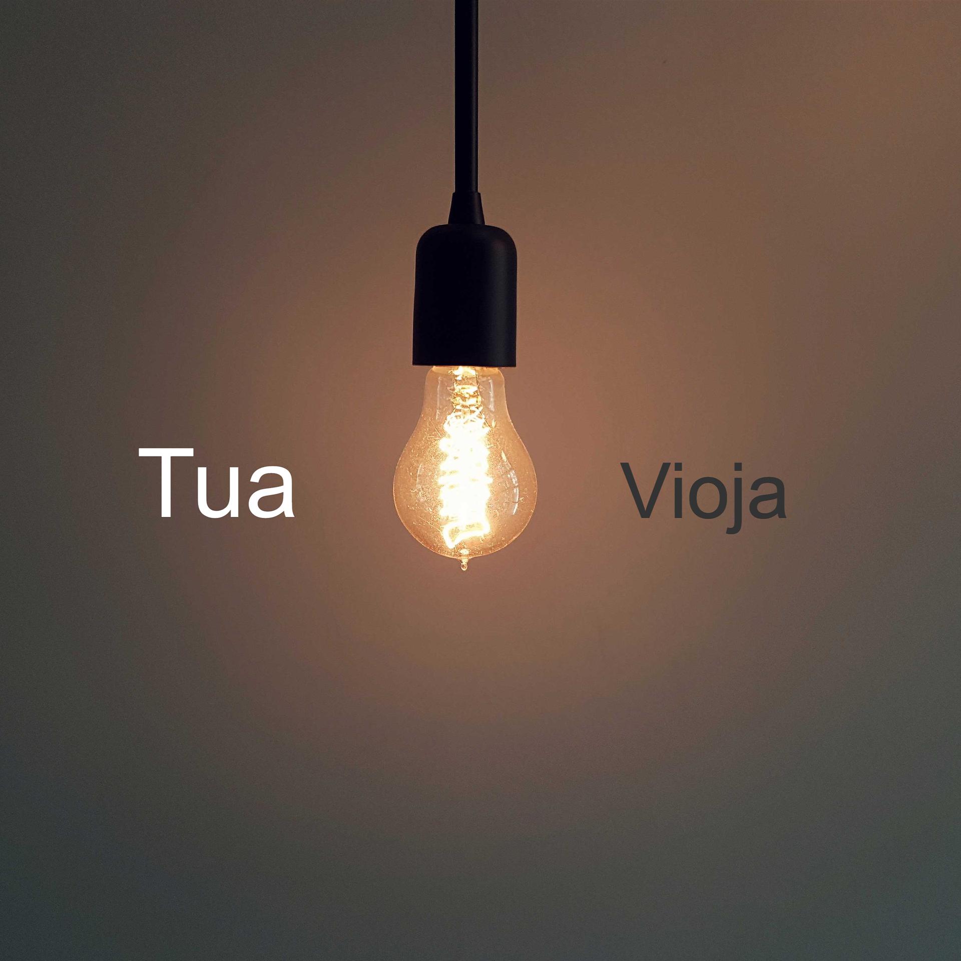 Постер альбома Vioja