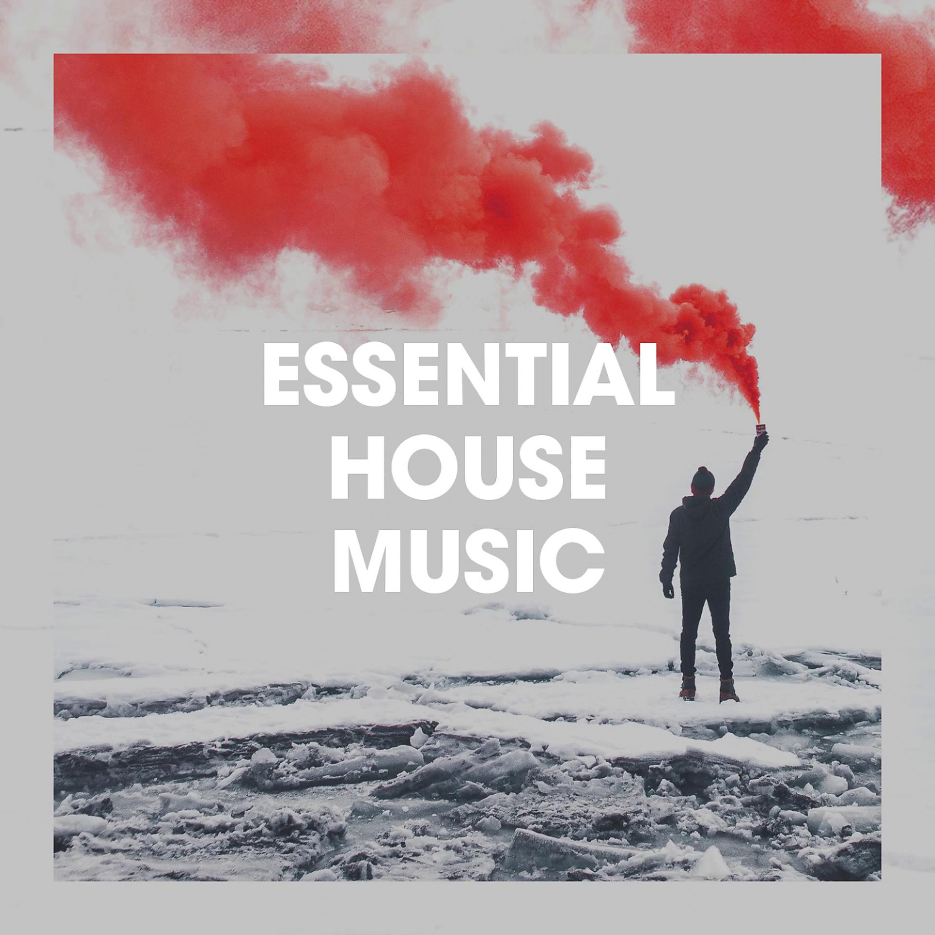 Постер альбома Essential House Music