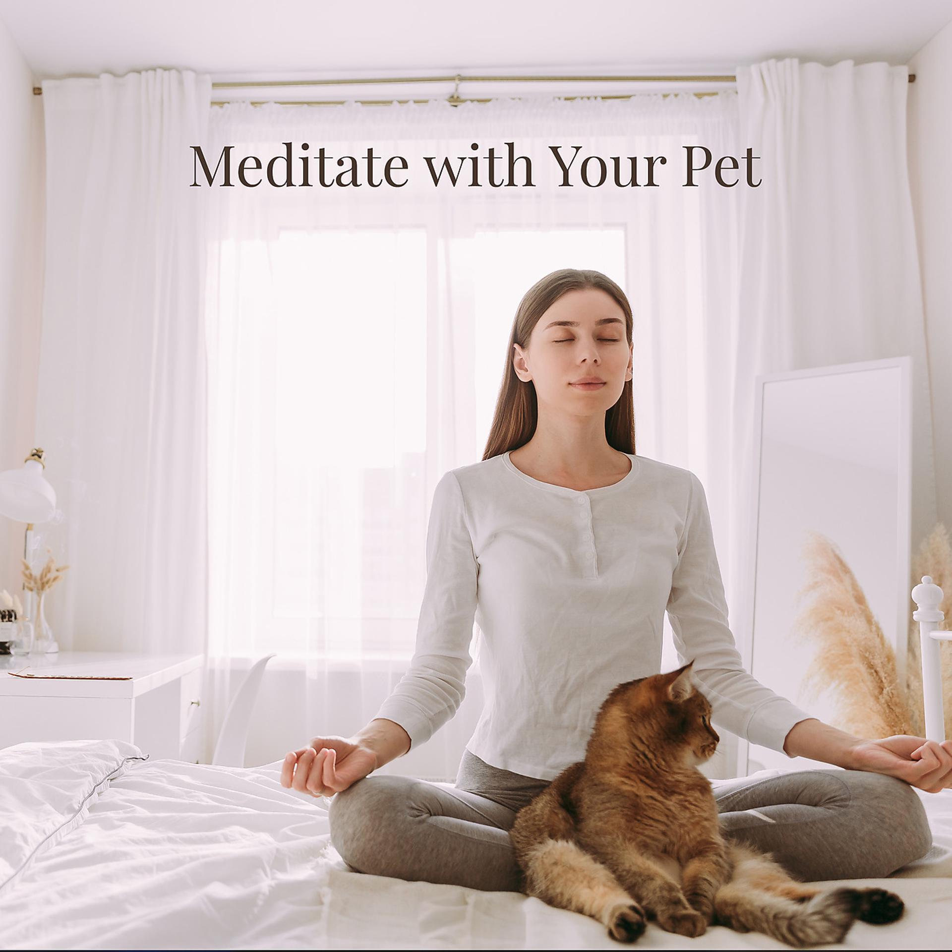 Постер альбома Meditate with Your Pet
