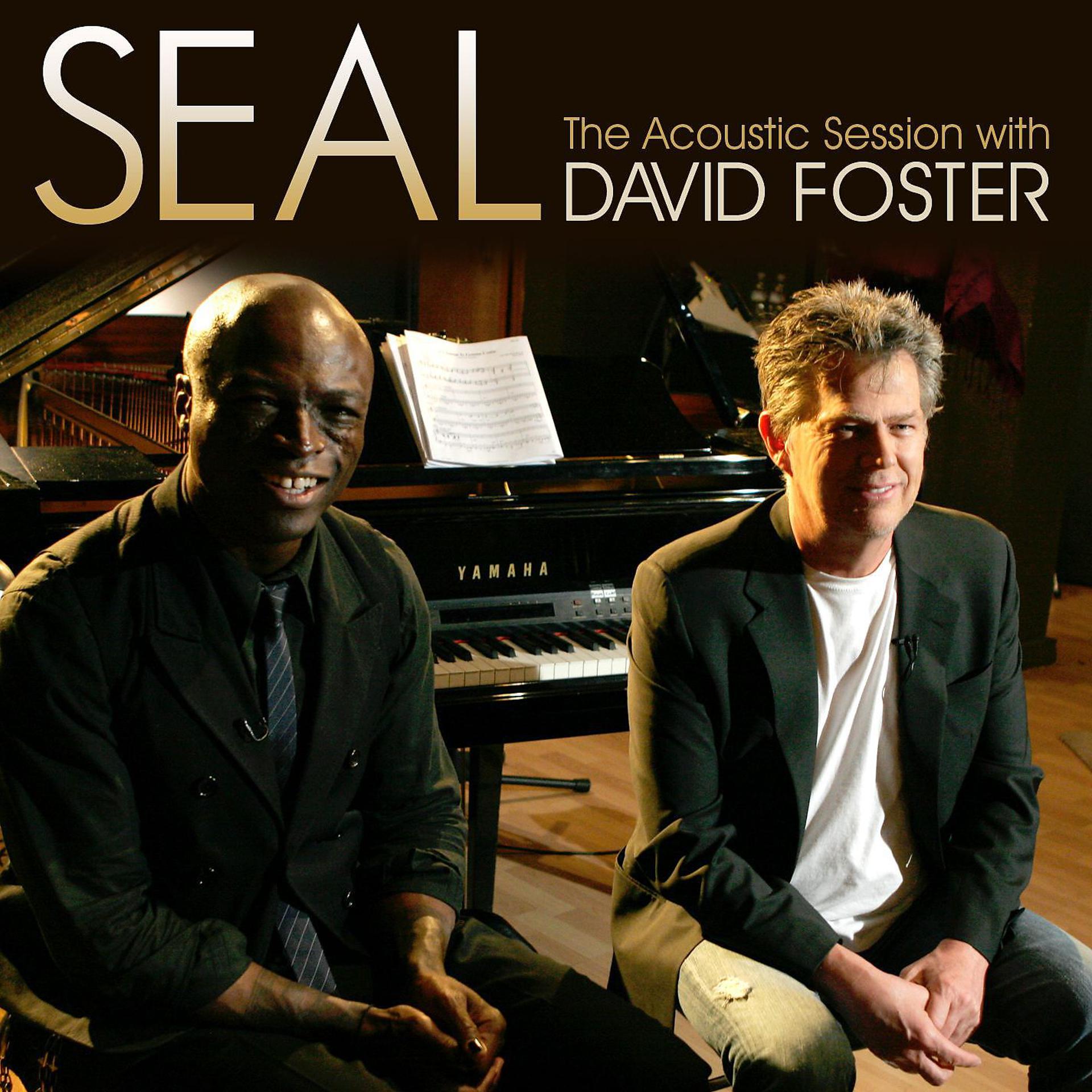 Постер альбома Seal - The Acoustic Session with David Foster