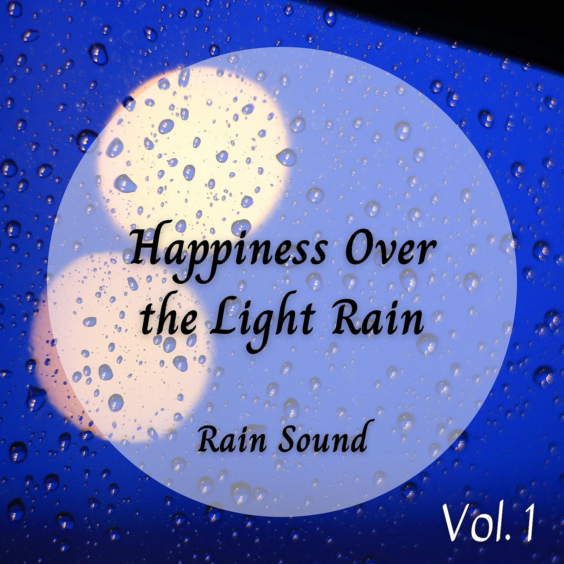 Постер альбома Rain Sound: Happiness Over the Light Rain Vol. 1