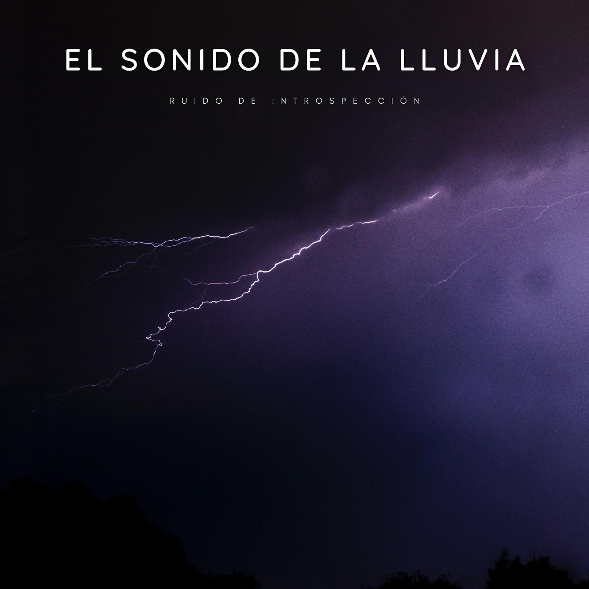 Постер альбома El Sonido De La Lluvia: Ruido De Introspección