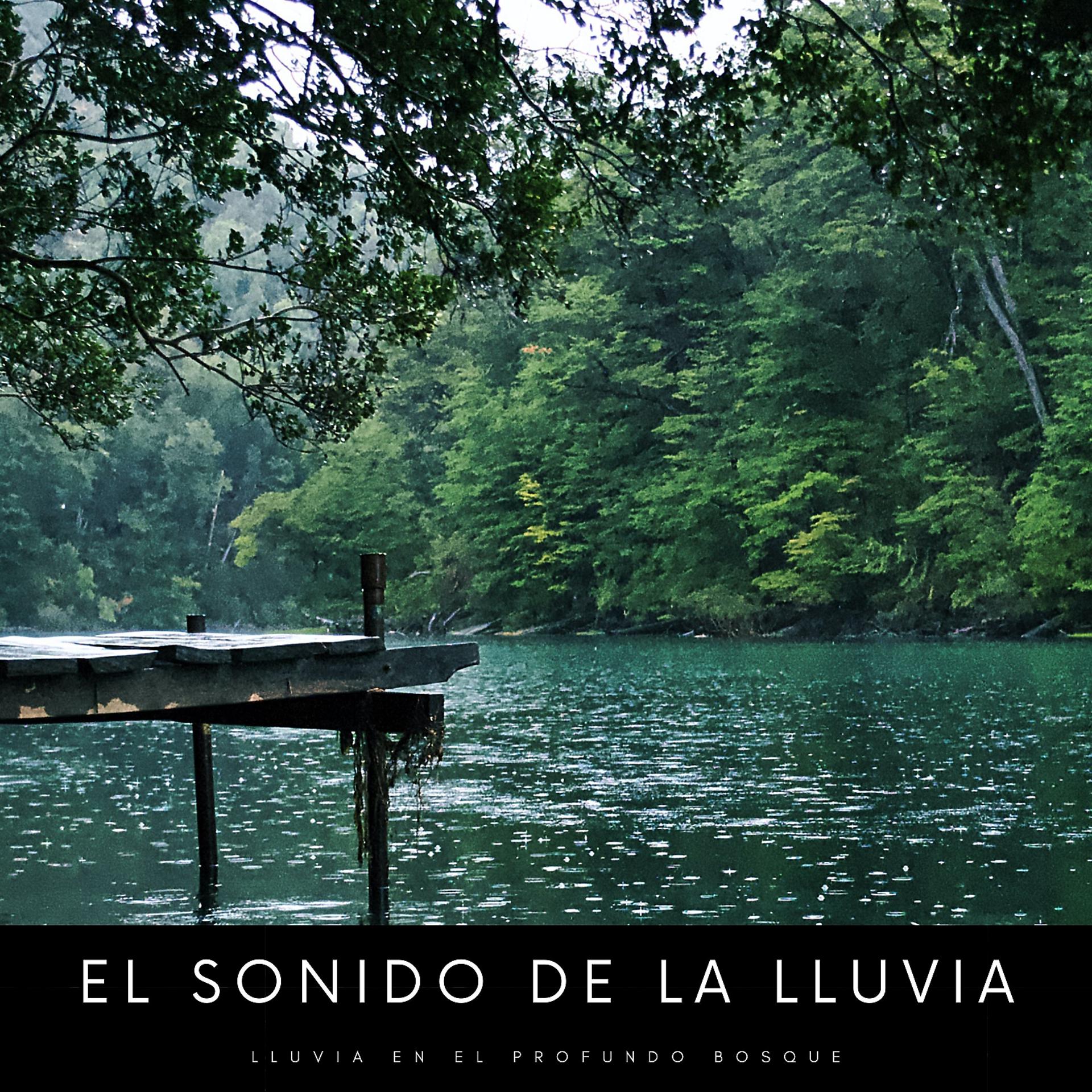 Постер альбома El Sonido De La Lluvia: Lluvia En El Profundo Bosque
