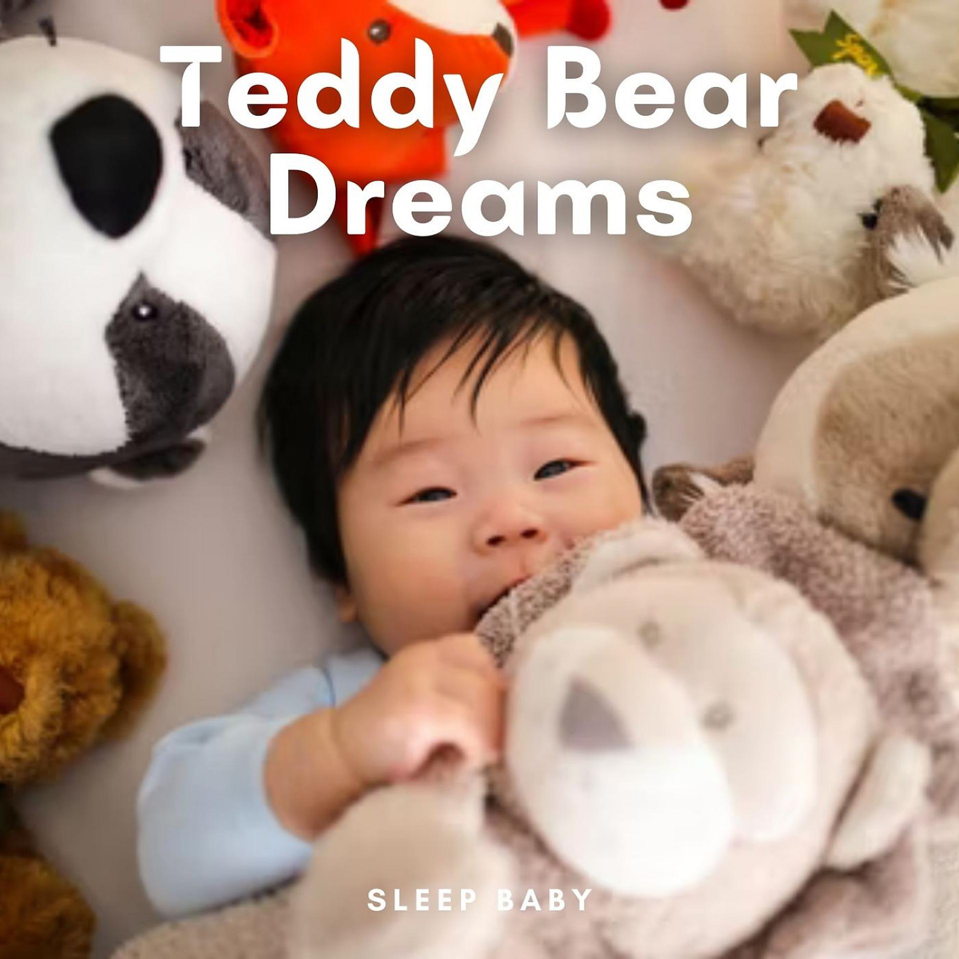 Постер альбома Sleep Baby: Teddy Bear Dreams