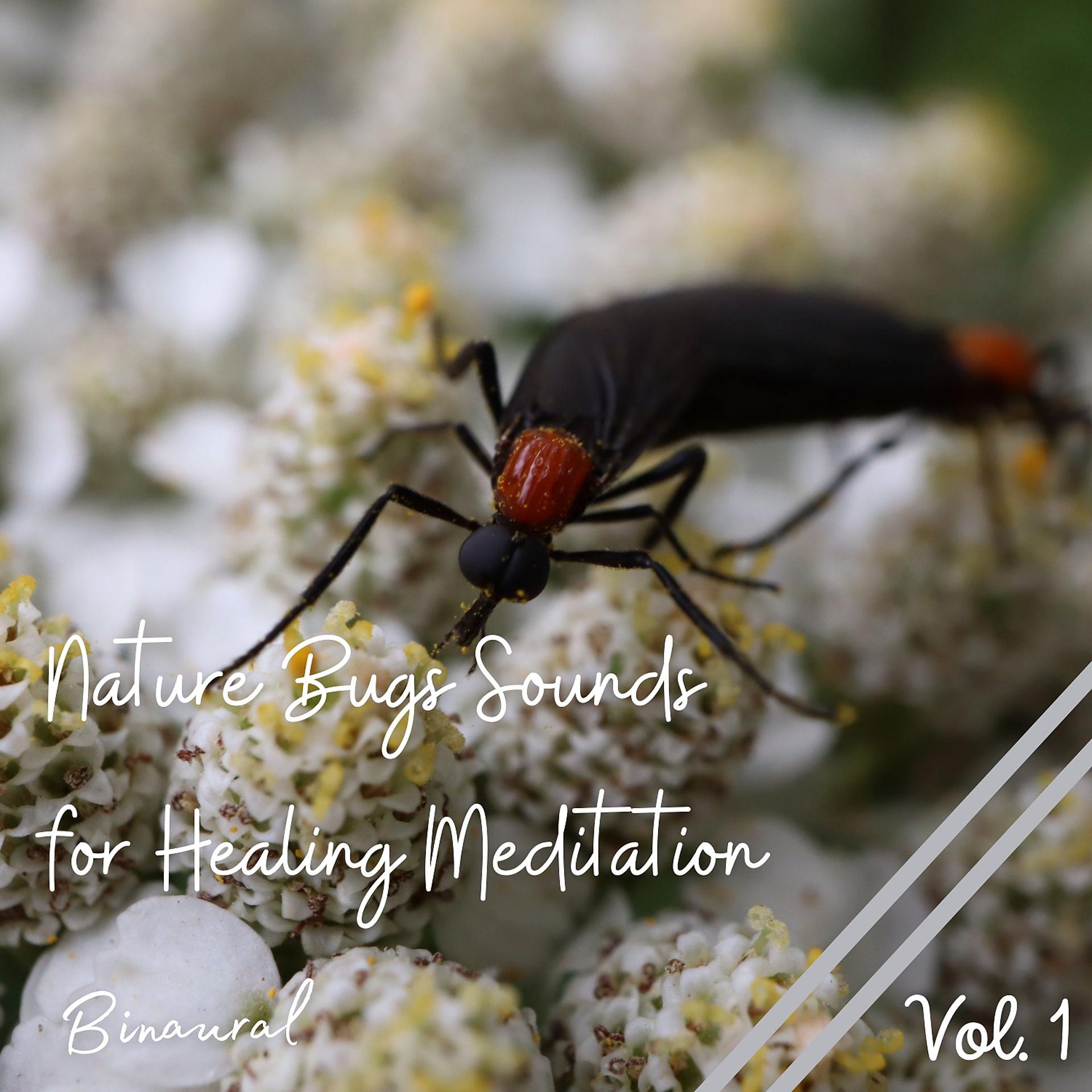 Постер альбома Binaural: Nature Bugs Sounds for Healing Meditation Vol. 1