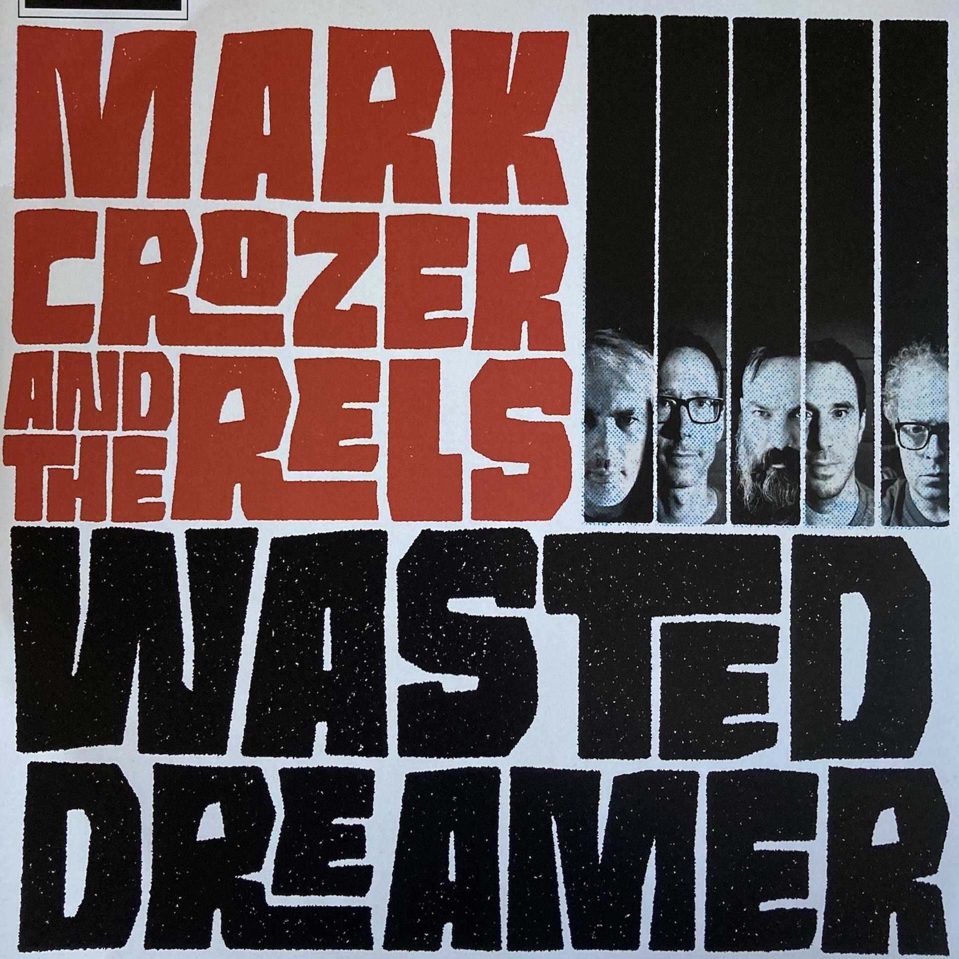 Постер альбома Wasted Dreamer