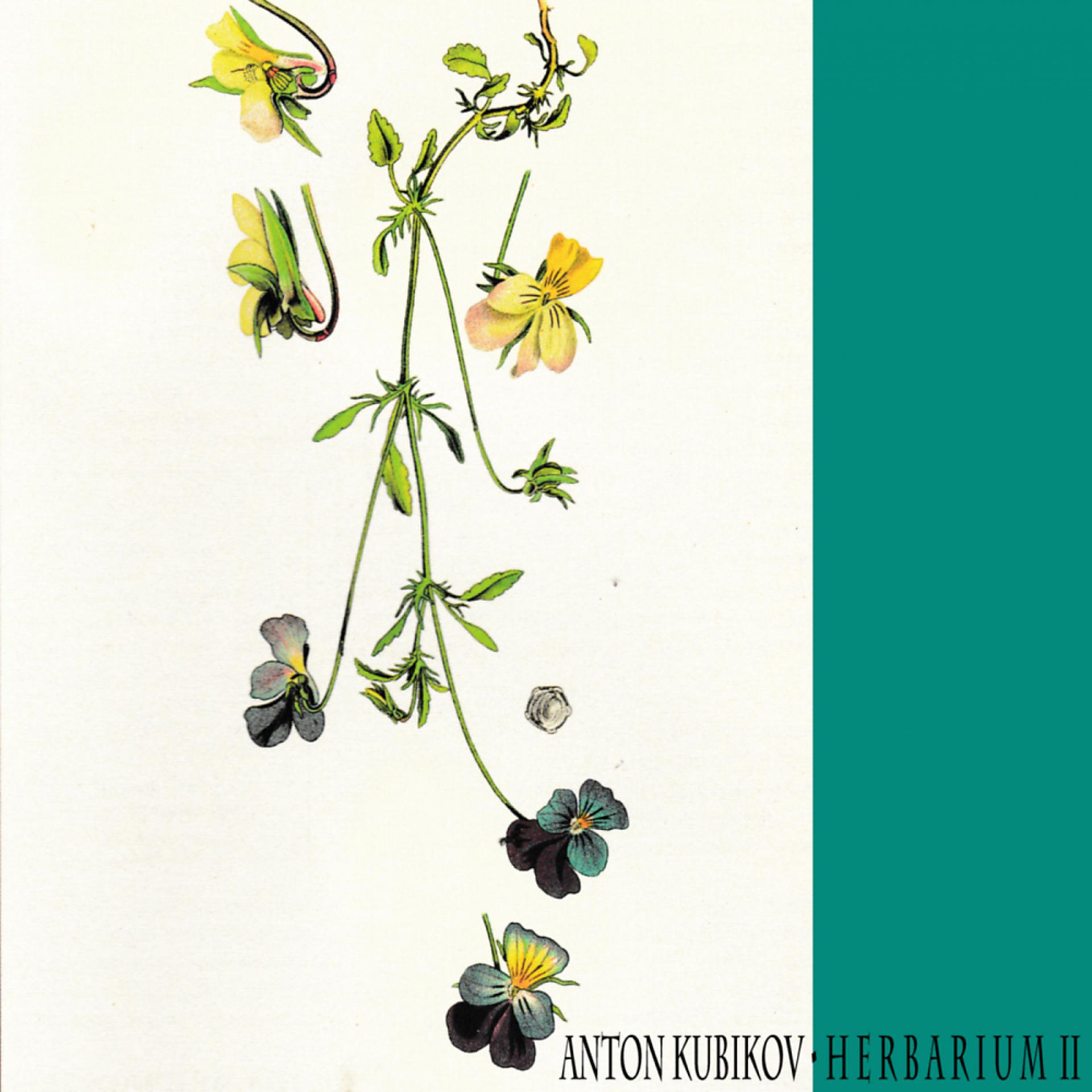 Постер альбома Herbarium Part Two