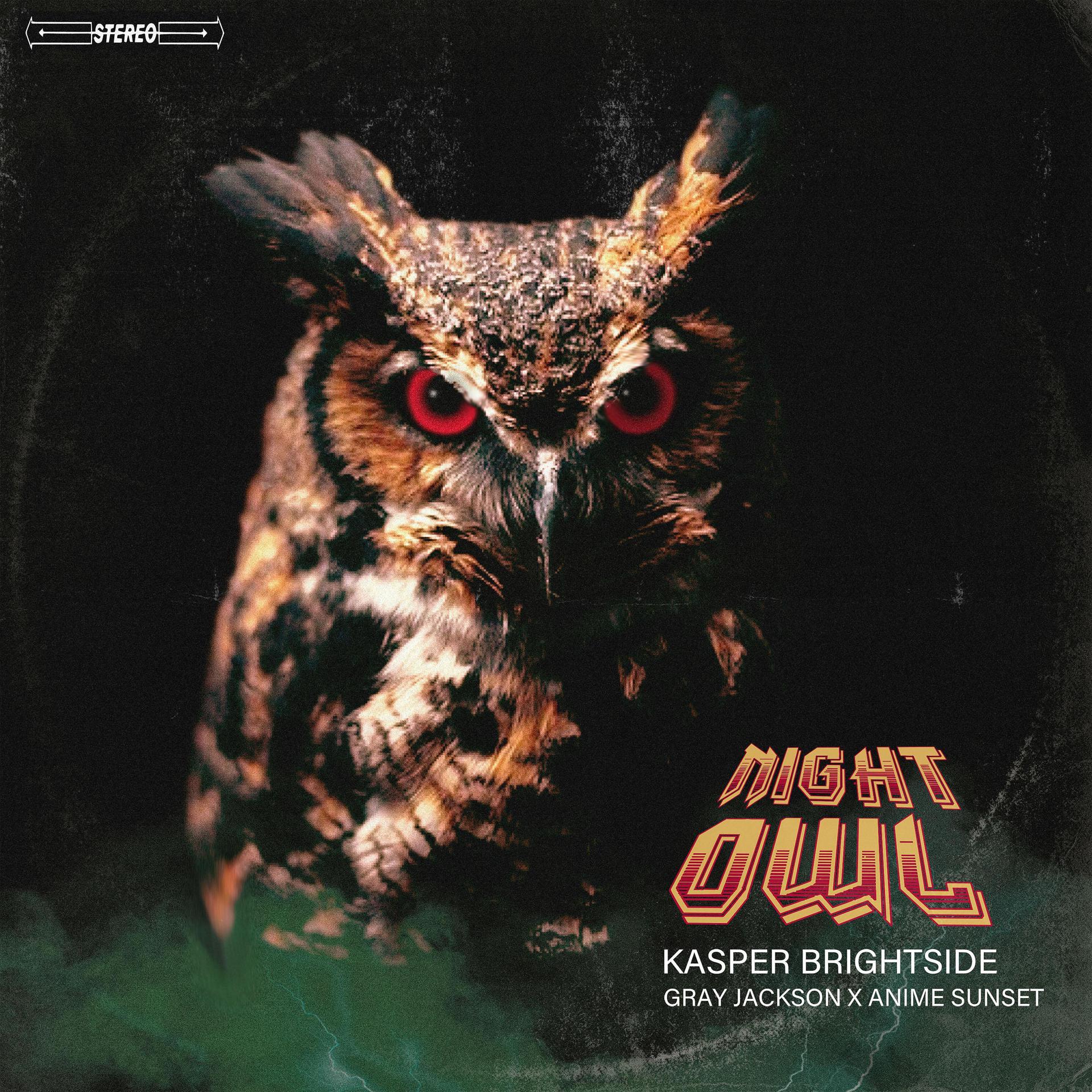Постер альбома Night Owl (Single) (feat. Gray Jackson & Anime Sunset)