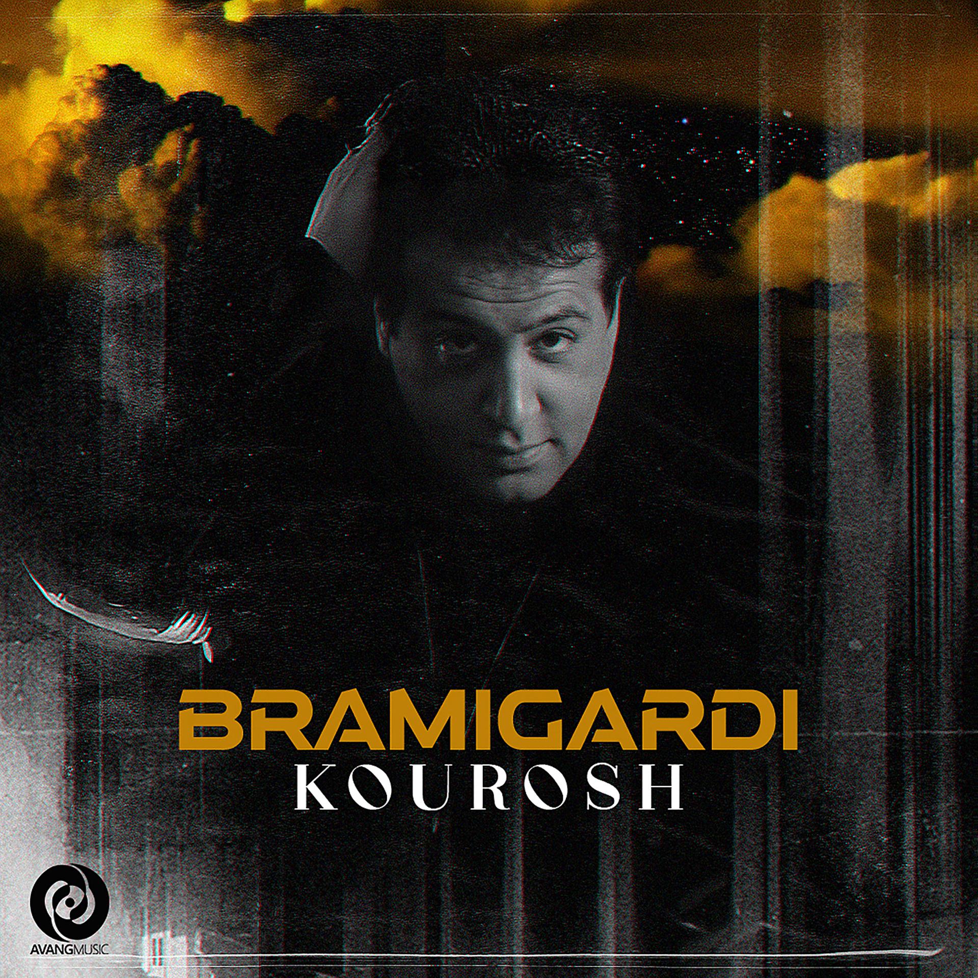 Постер альбома Barmigardi