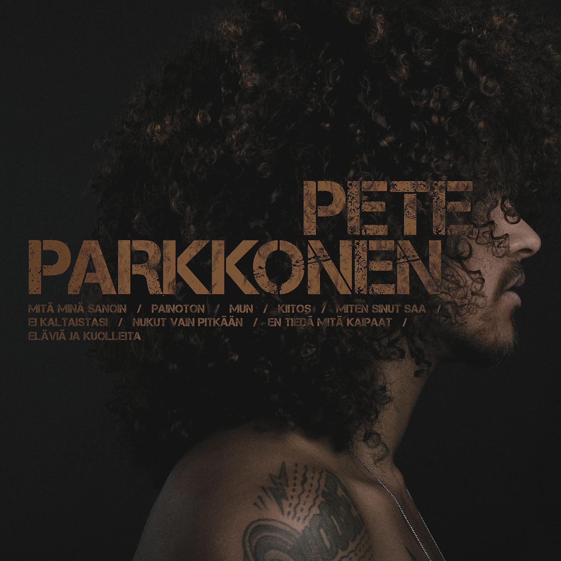 Постер альбома Pete Parkkonen