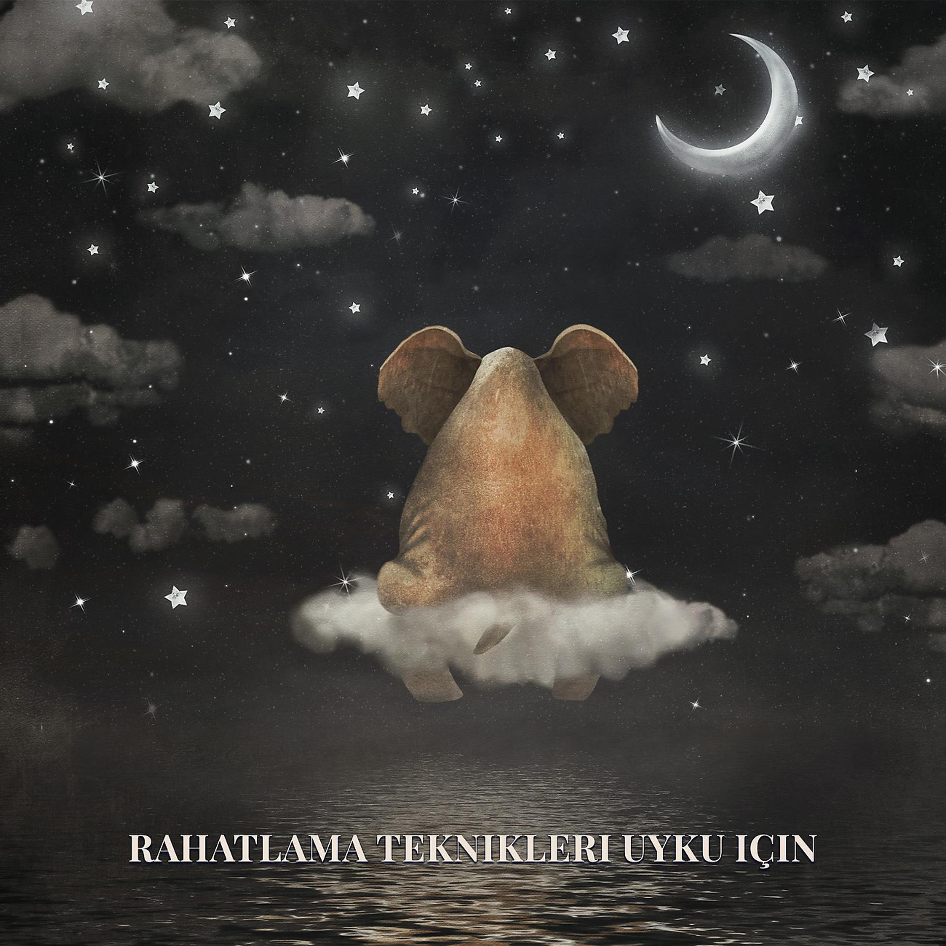 Постер альбома Rahatlama Teknikleri Uyku Için