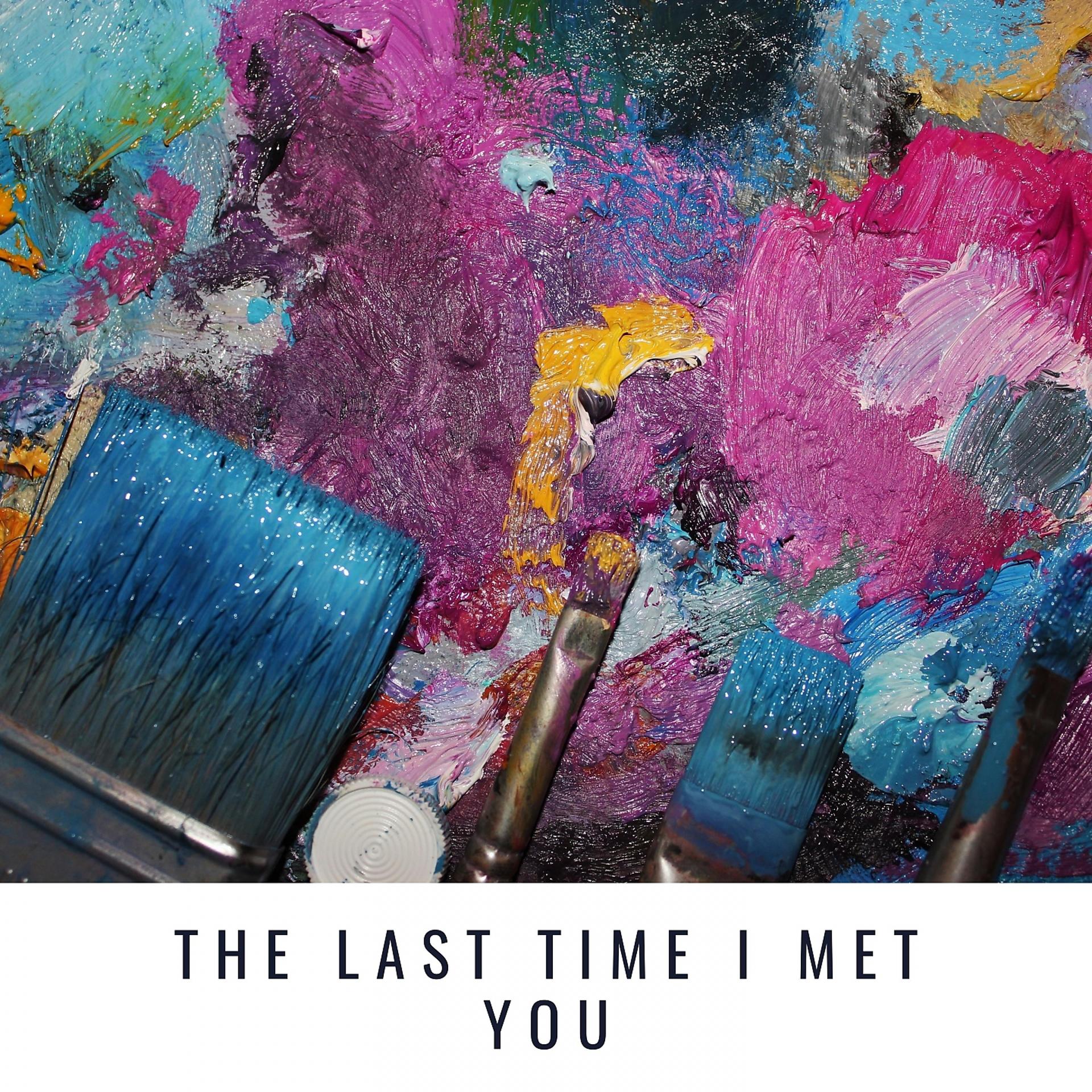 Постер альбома The Last Time i met you
