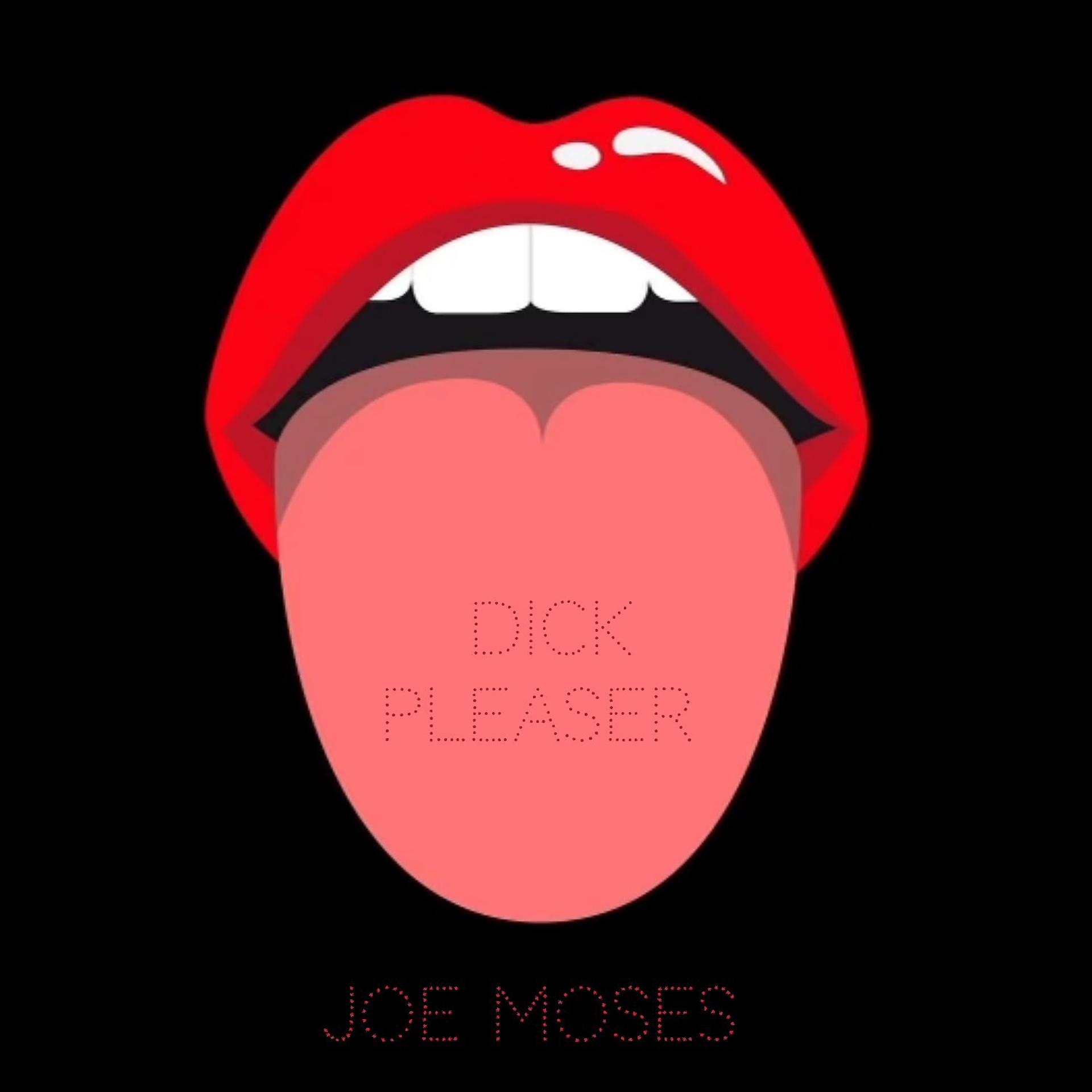 Постер альбома Dick Pleaser
