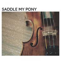 Постер альбома Saddle My Pony