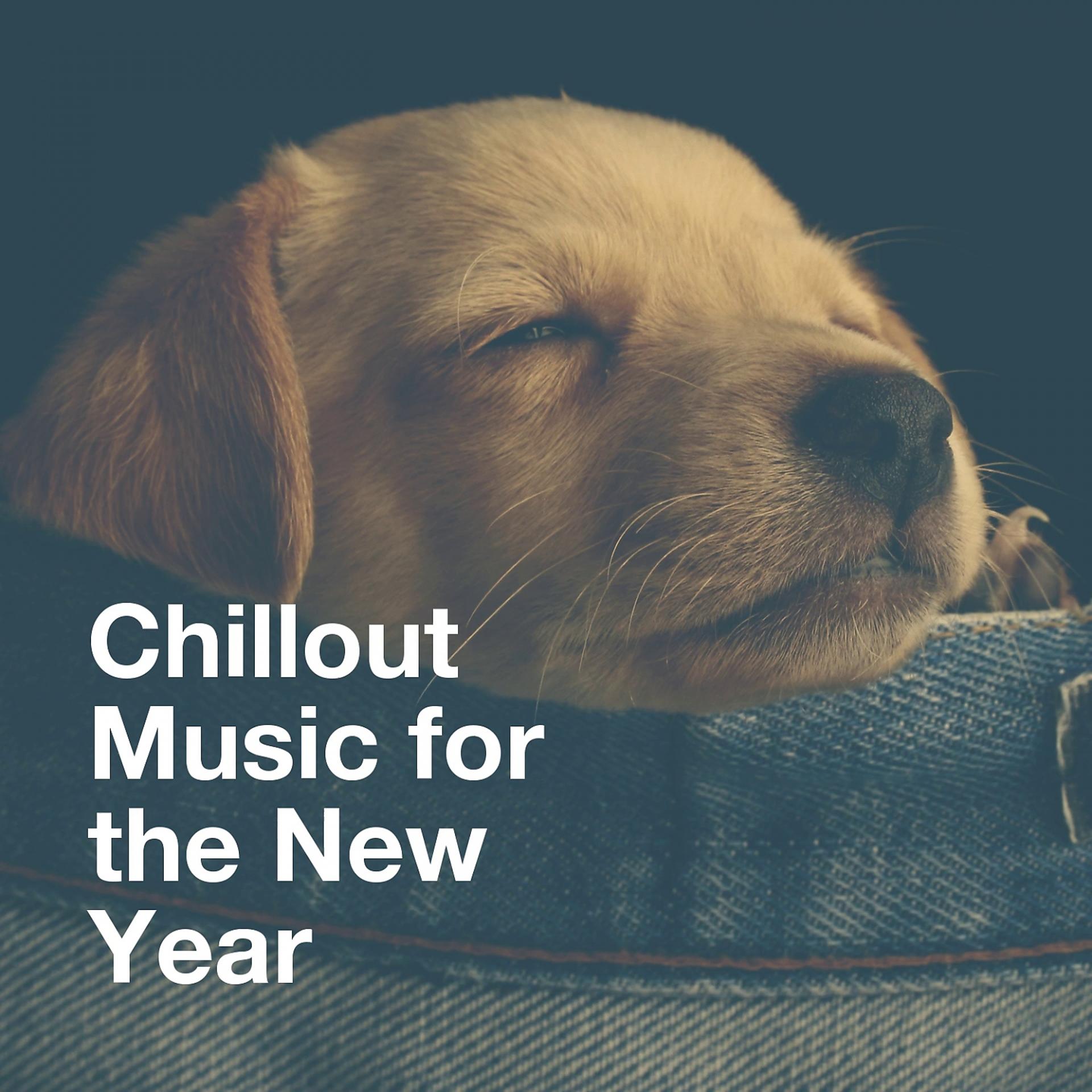 Постер альбома Chillout Music for the New Year