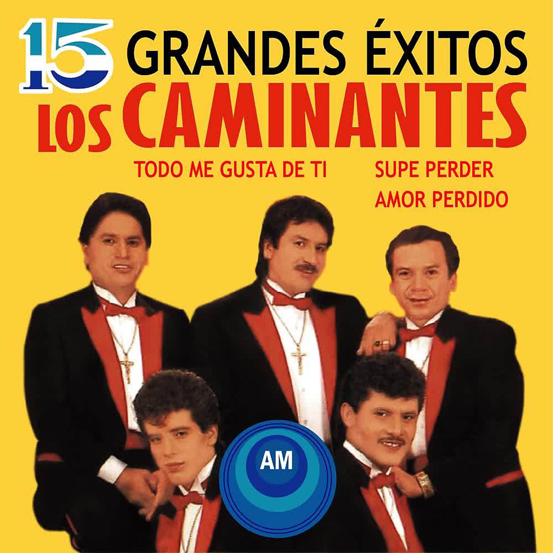 Постер альбома 15 Grandes Éxitos