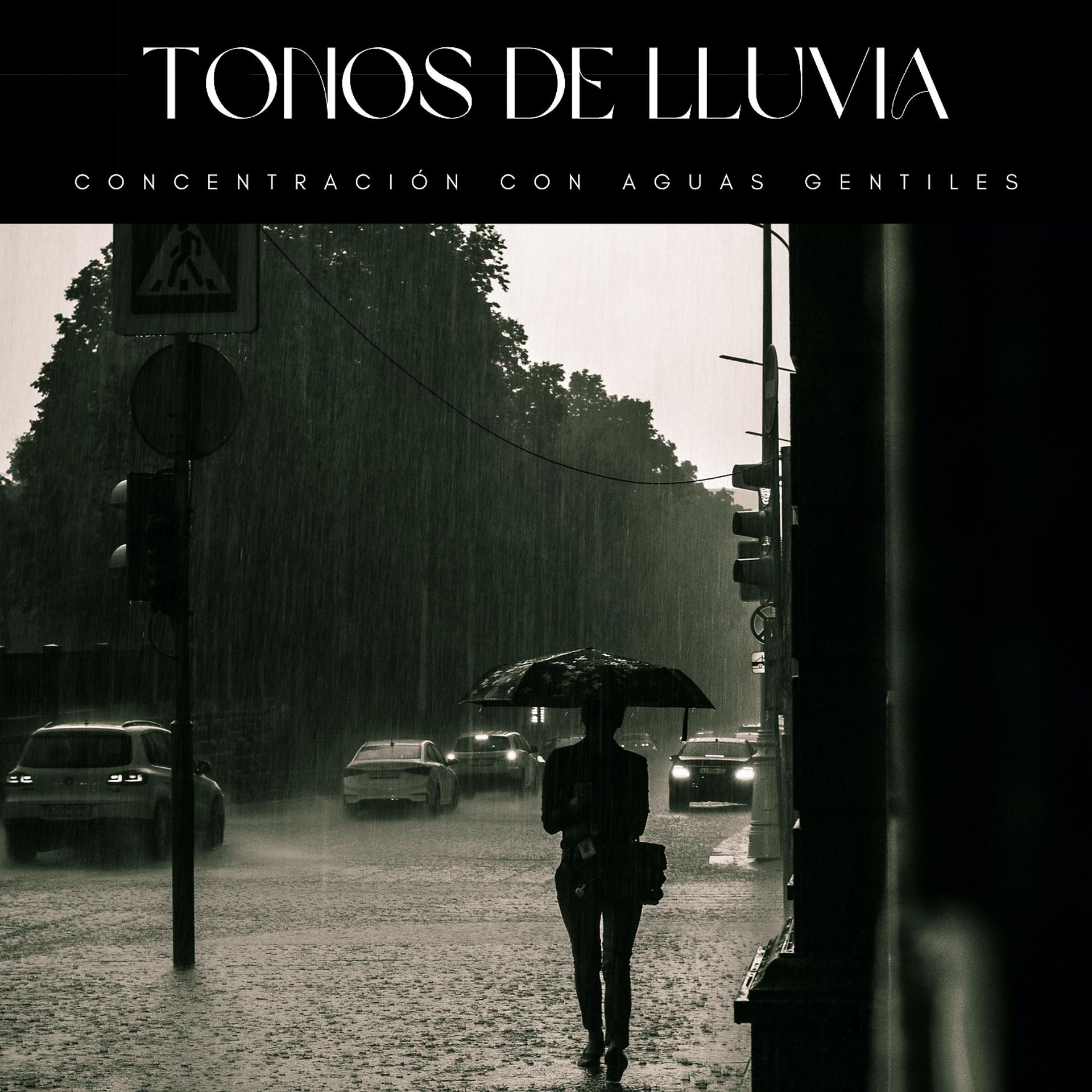 Постер альбома Tonos De Lluvia: Concentración Con Aguas Gentiles