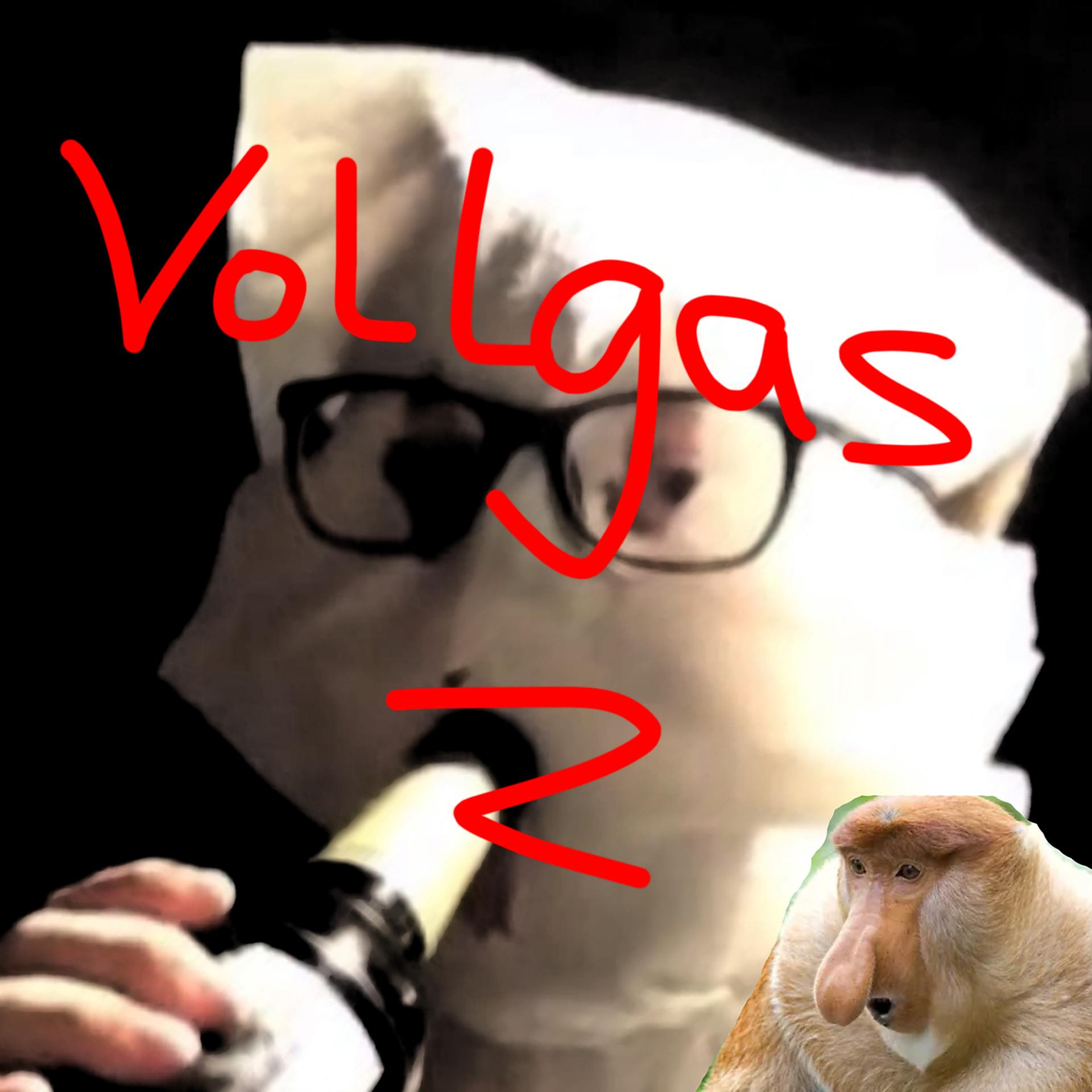 Постер альбома Vollgas 2
