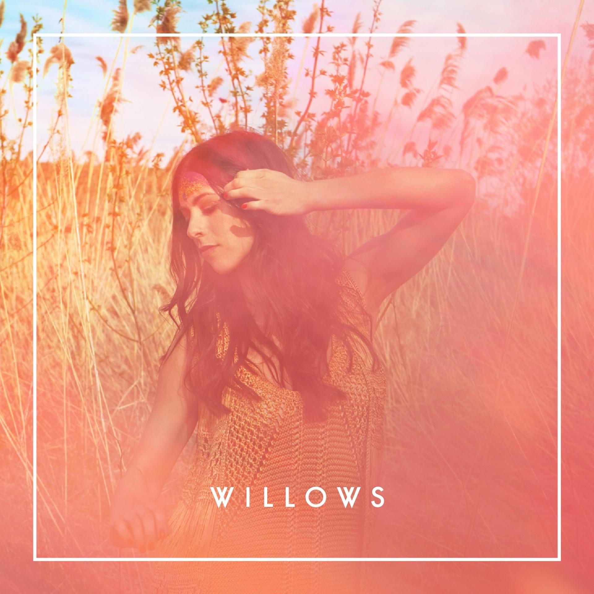 Постер альбома Willows