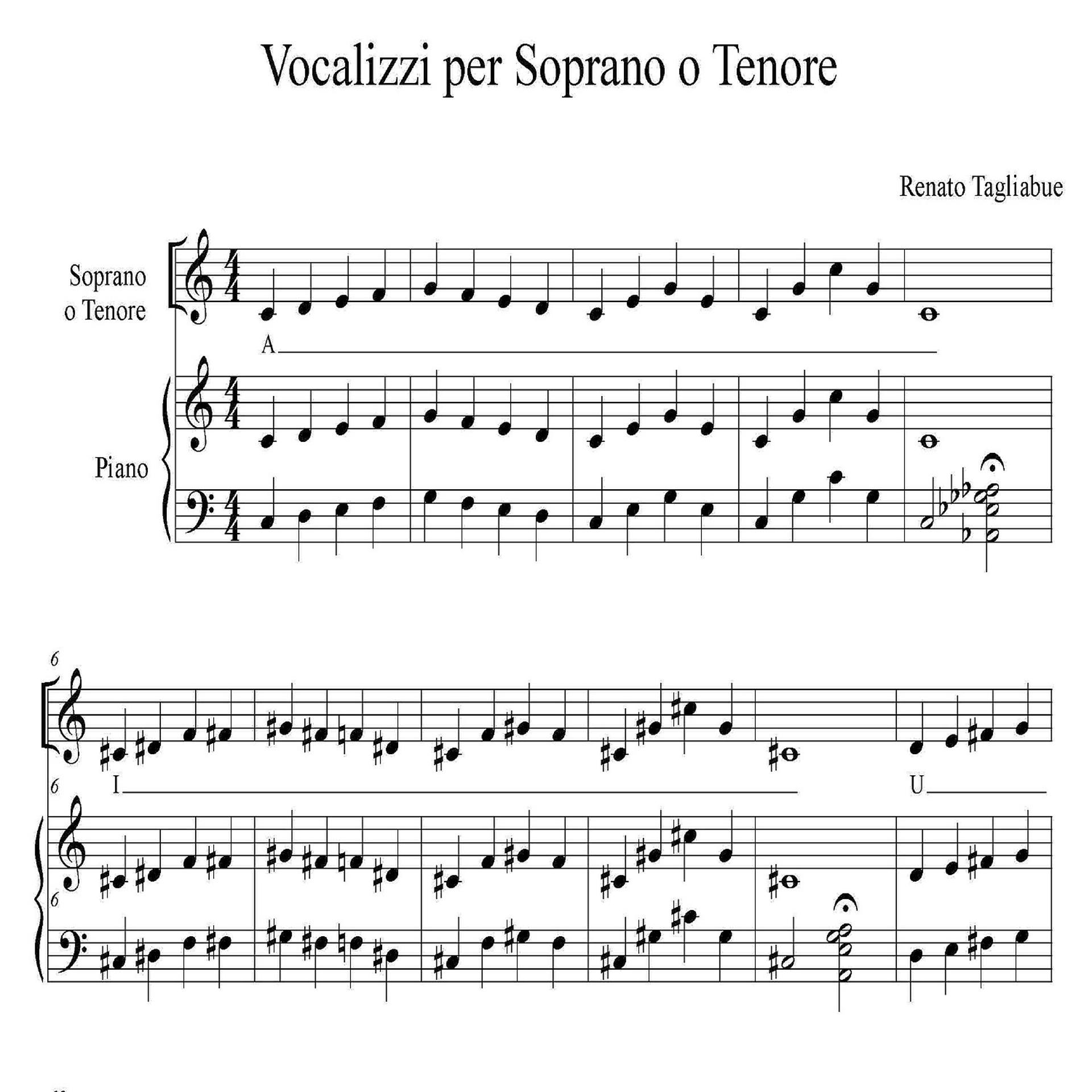 Постер альбома Vocalizzi per soprano o tenore, Pt. 1