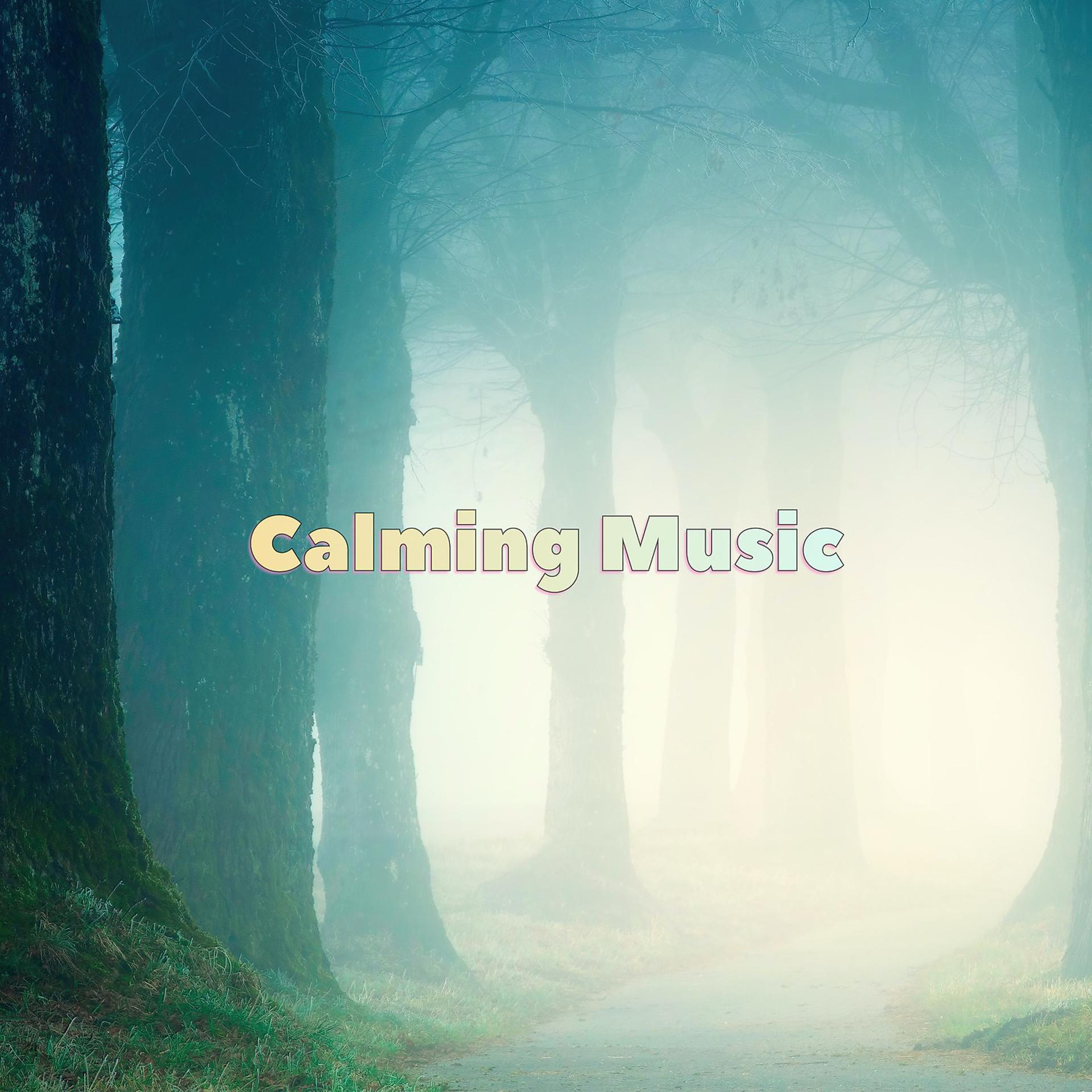 Постер альбома Calming Music
