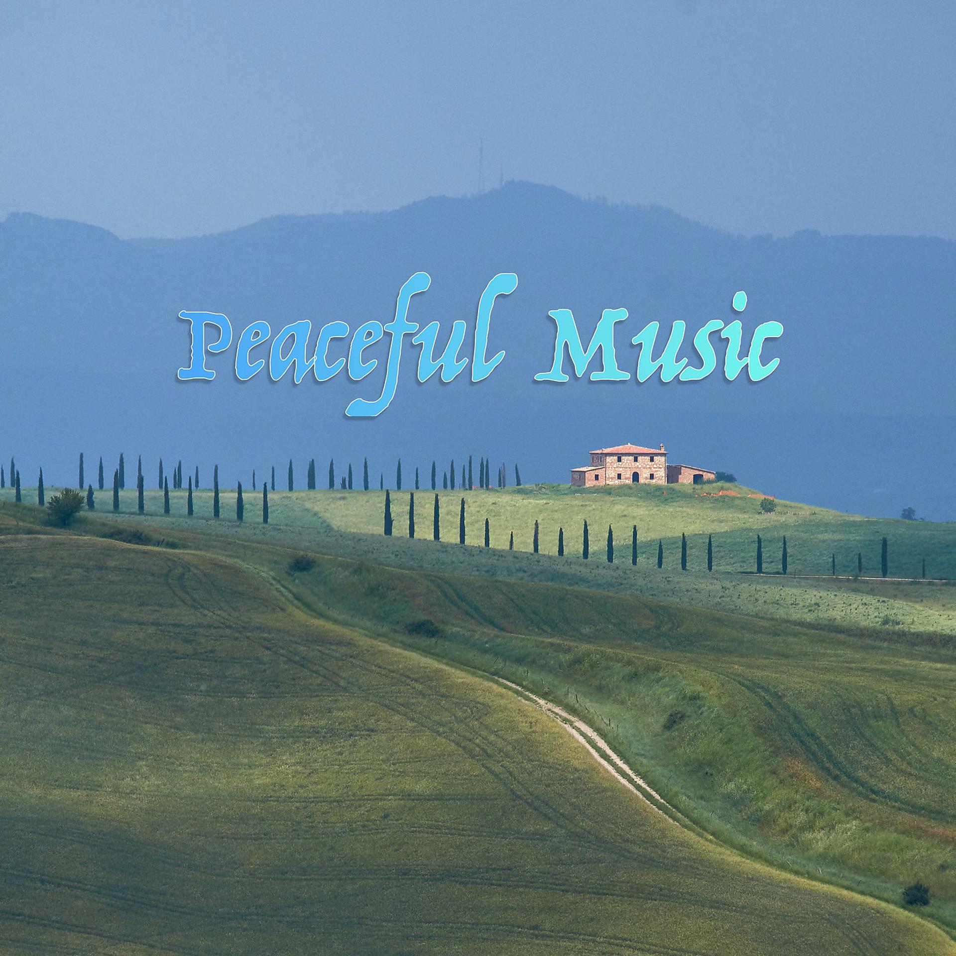 Постер альбома Peaceful Music