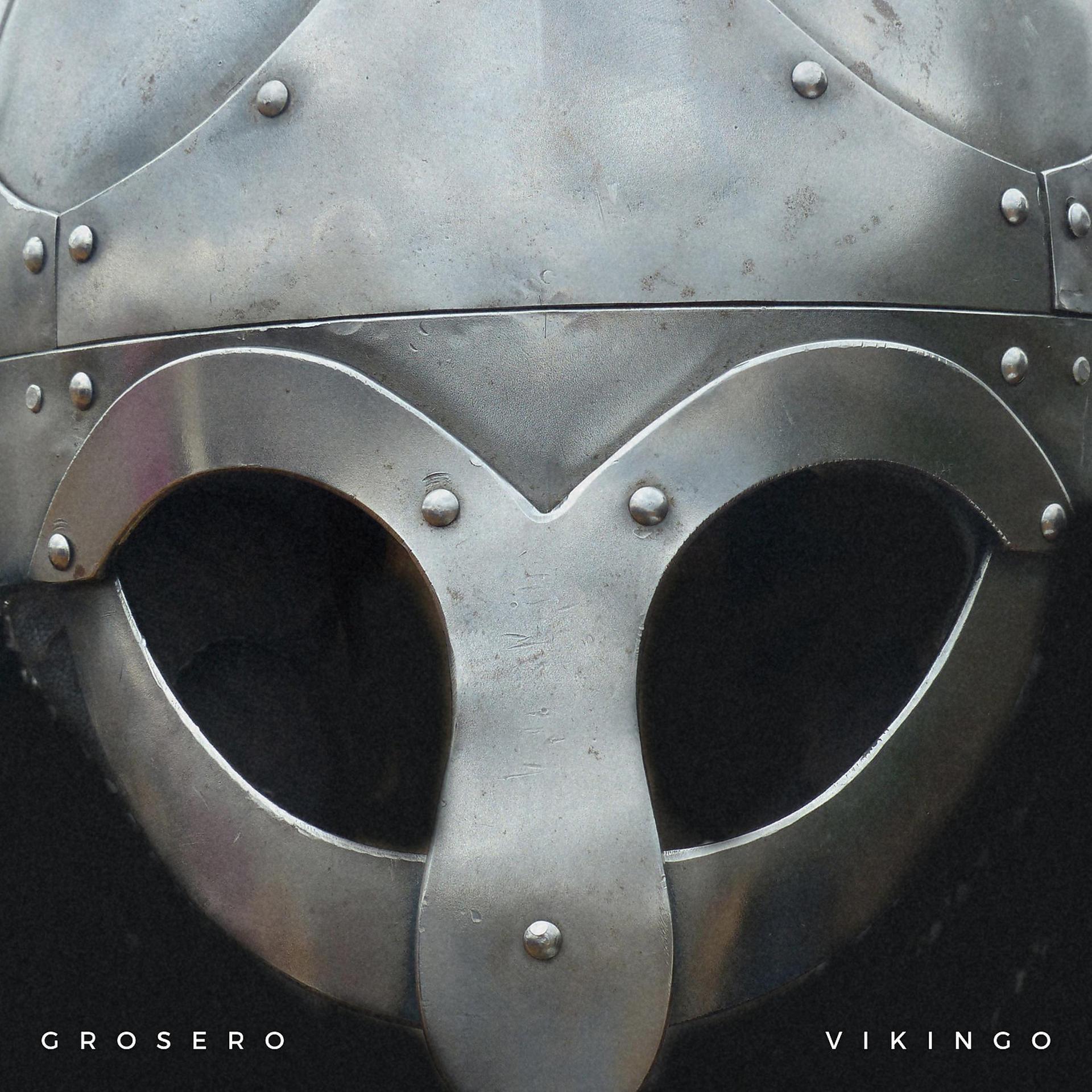 Постер альбома Vikingo