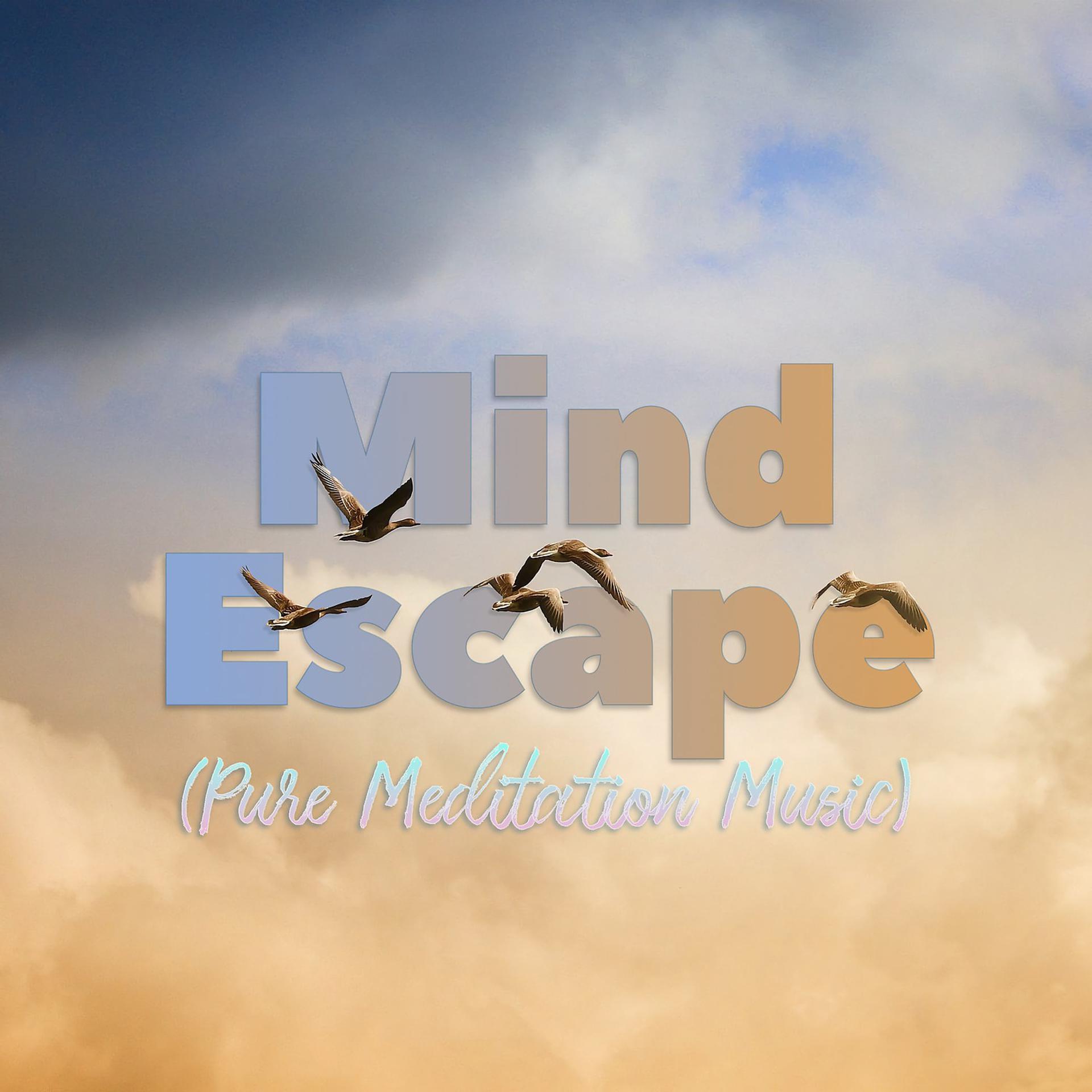 Постер альбома Mind Escape (Pure Meditation Music)