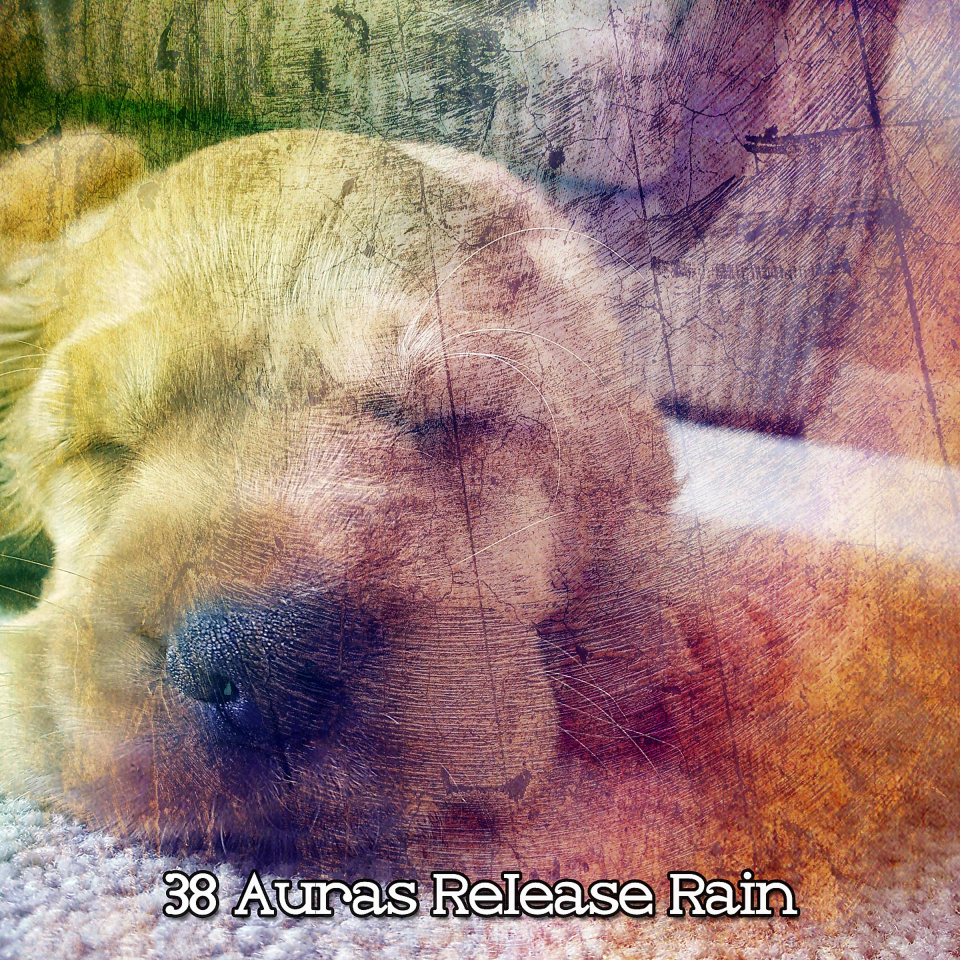 Постер альбома 38 Auras Release Rain