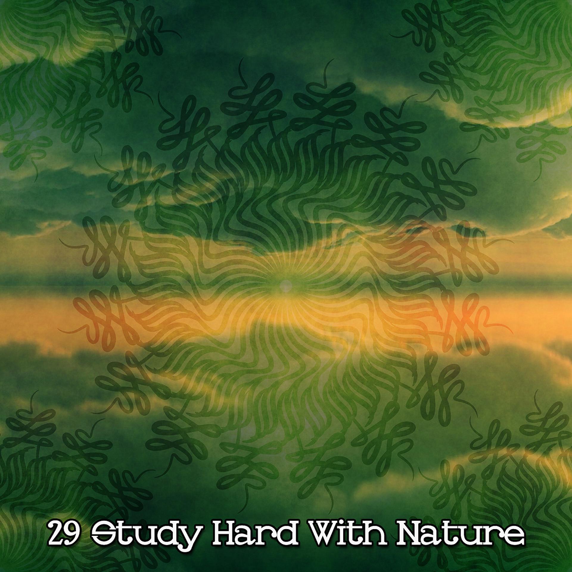 Постер альбома 29 Study Hard With Nature