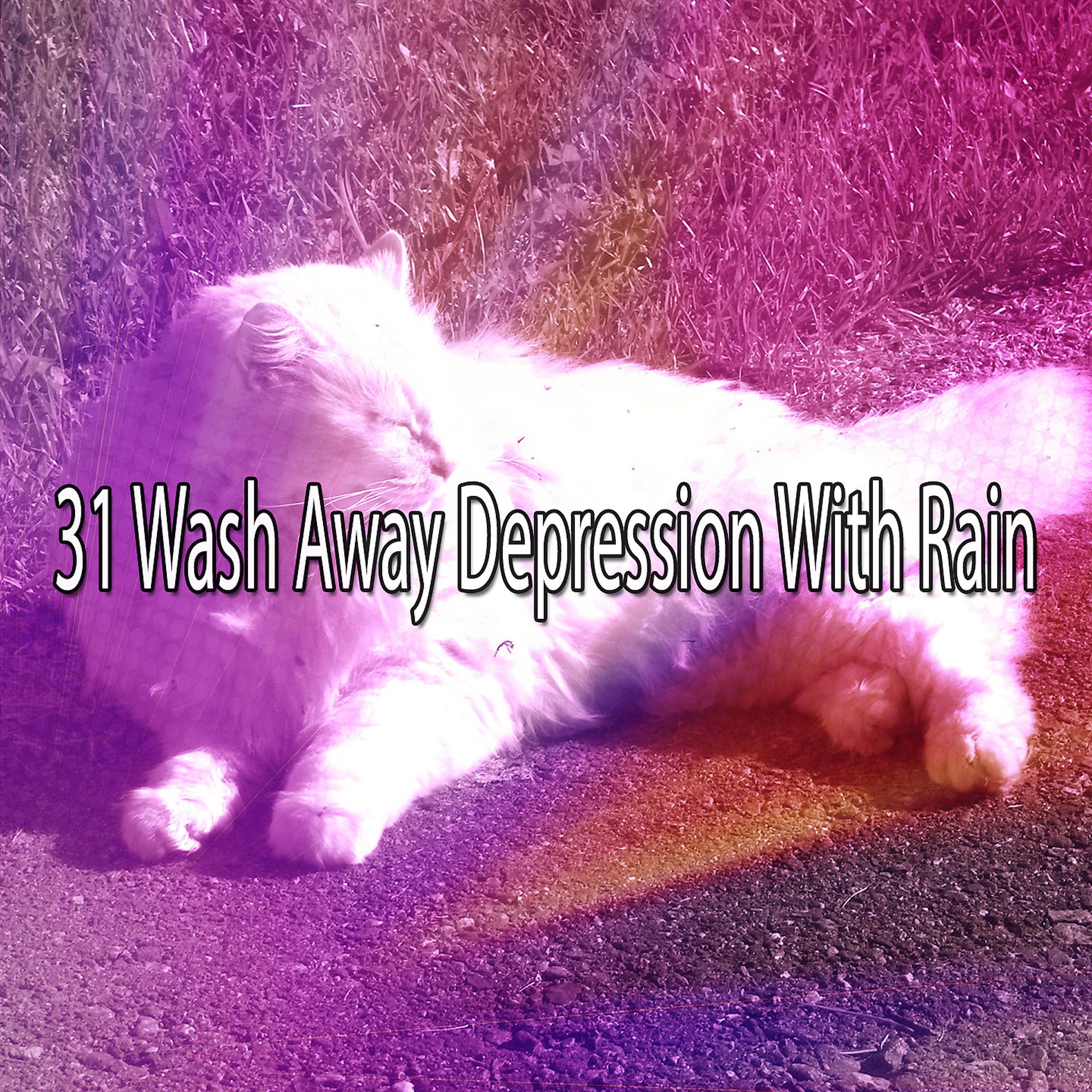 Постер альбома 31 Смыть депрессию дождем