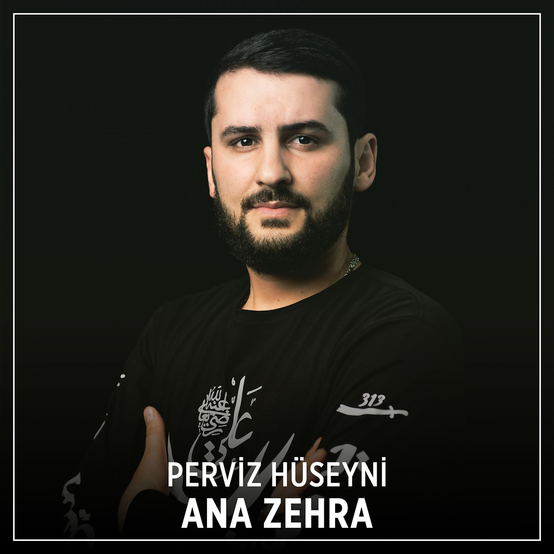 Постер альбома Ana Zehra