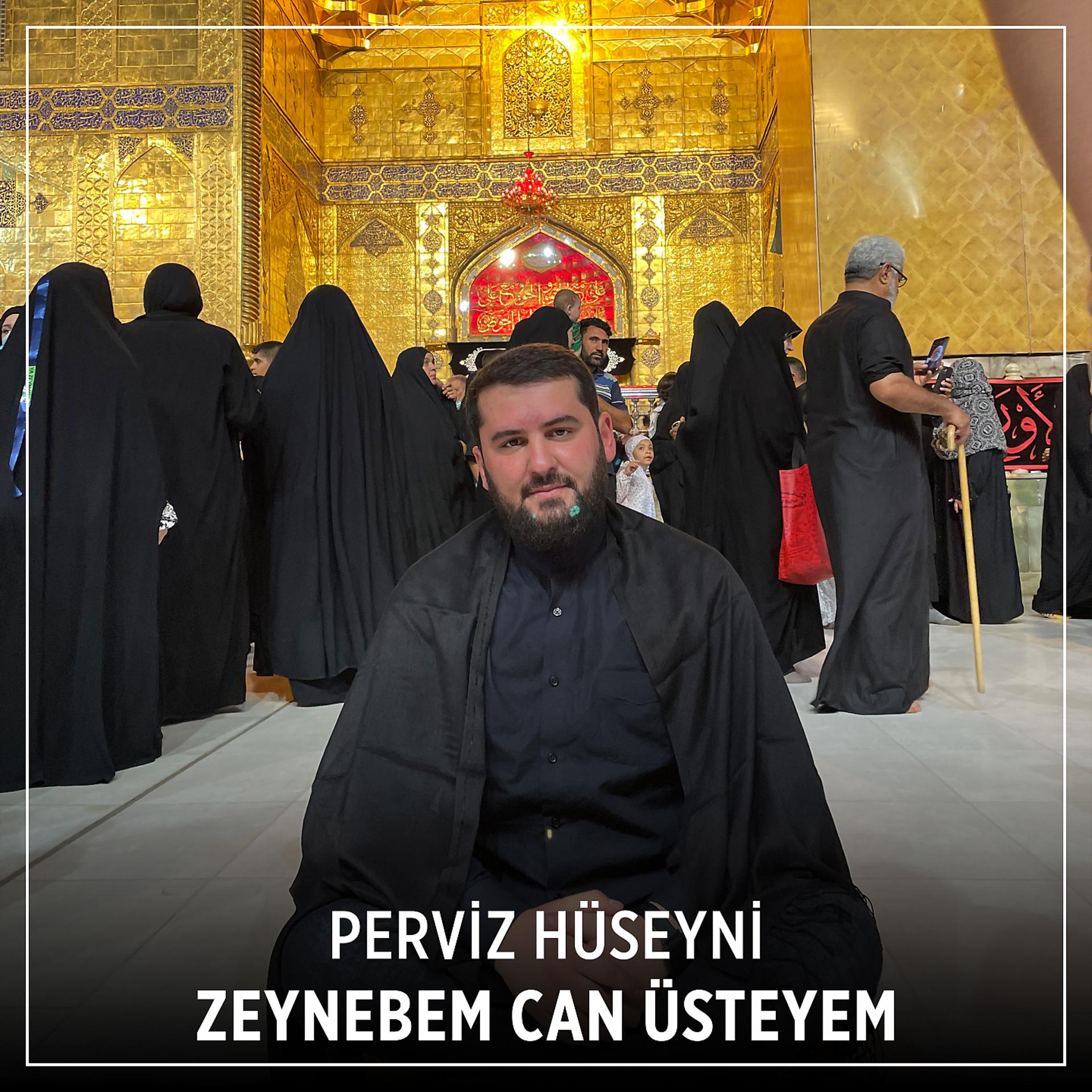 Постер альбома Zeynebem Can Üsteyem