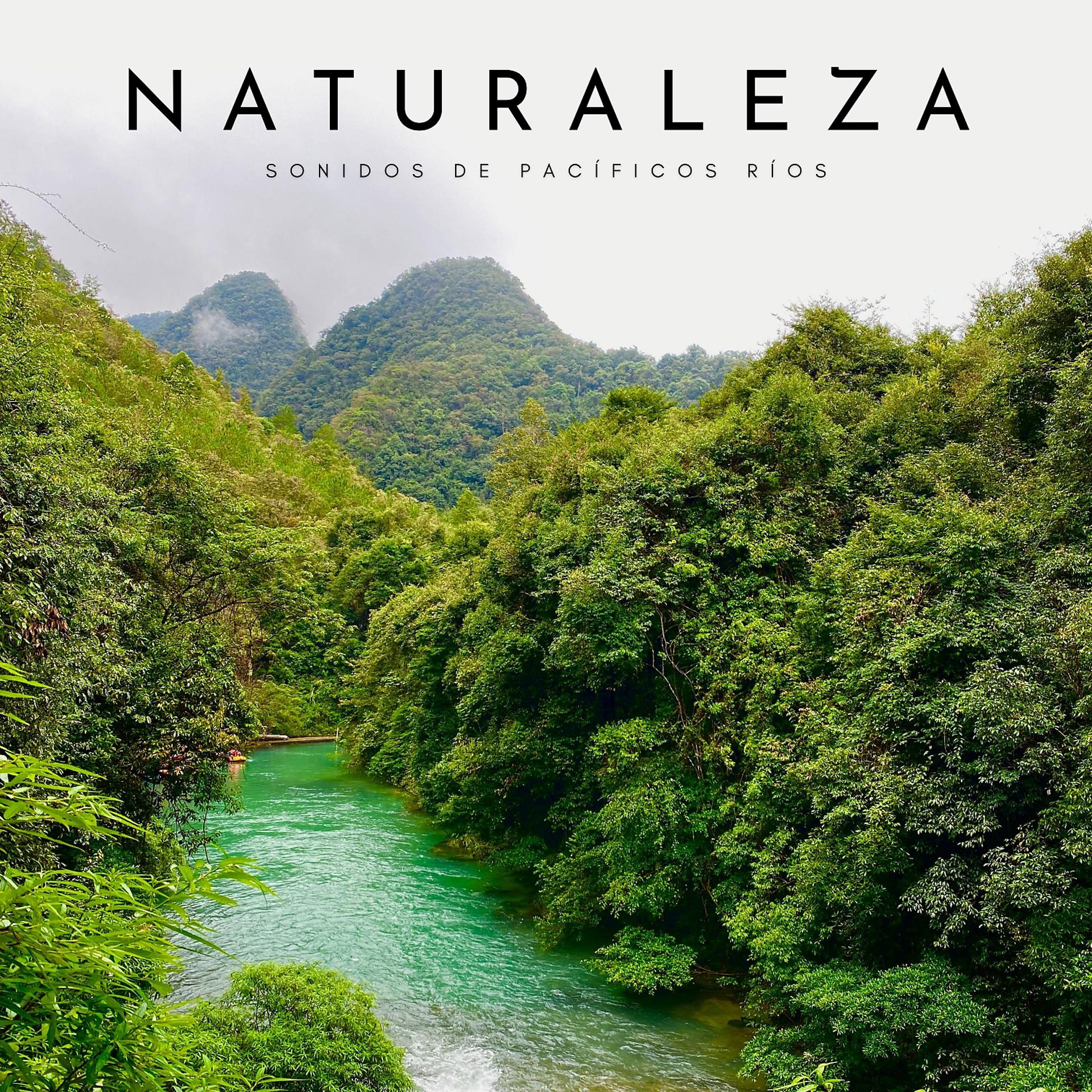 Постер альбома Naturaleza: Sonidos De Pacíficos Ríos