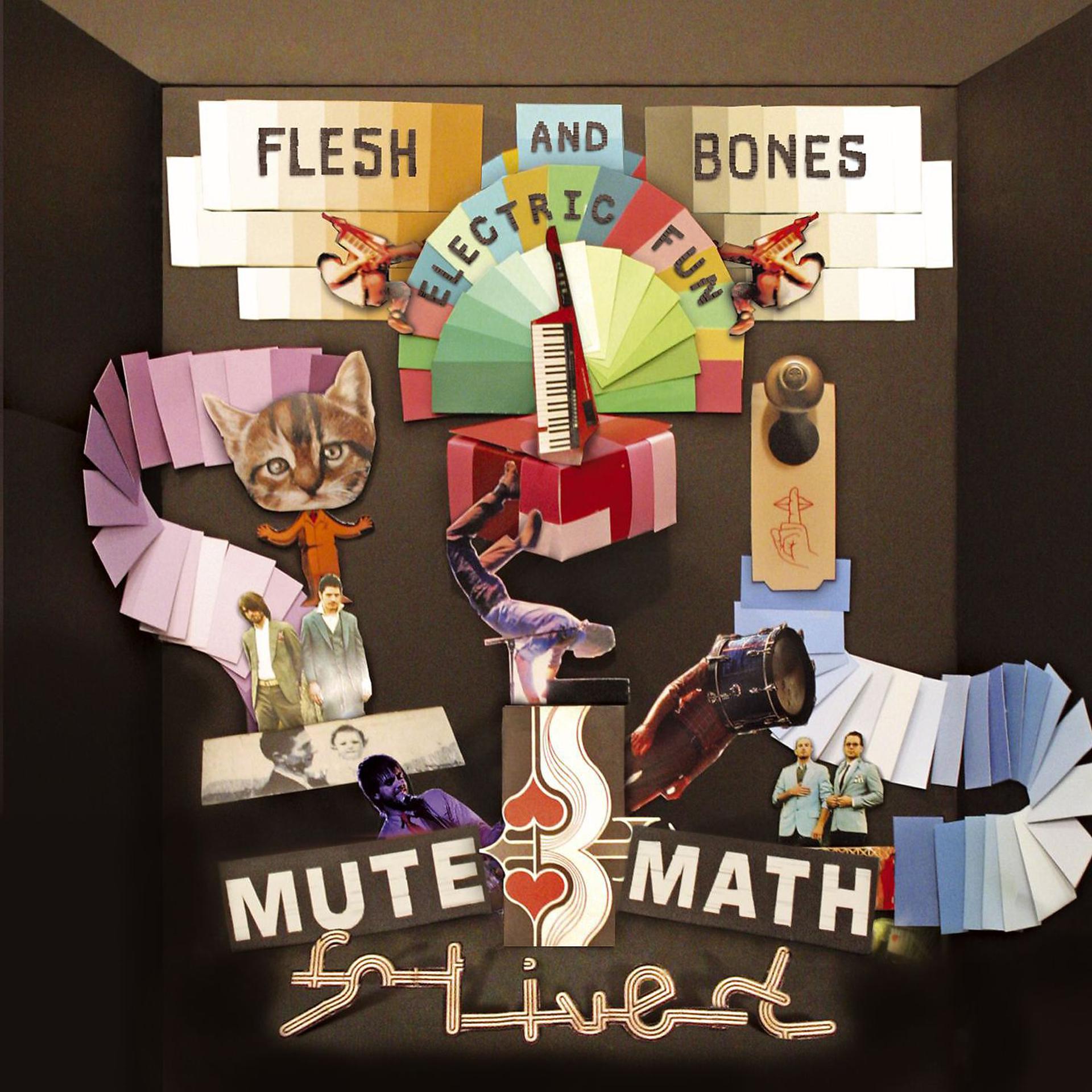 Постер альбома Flesh And Bones Electric Fun (DMD Album)