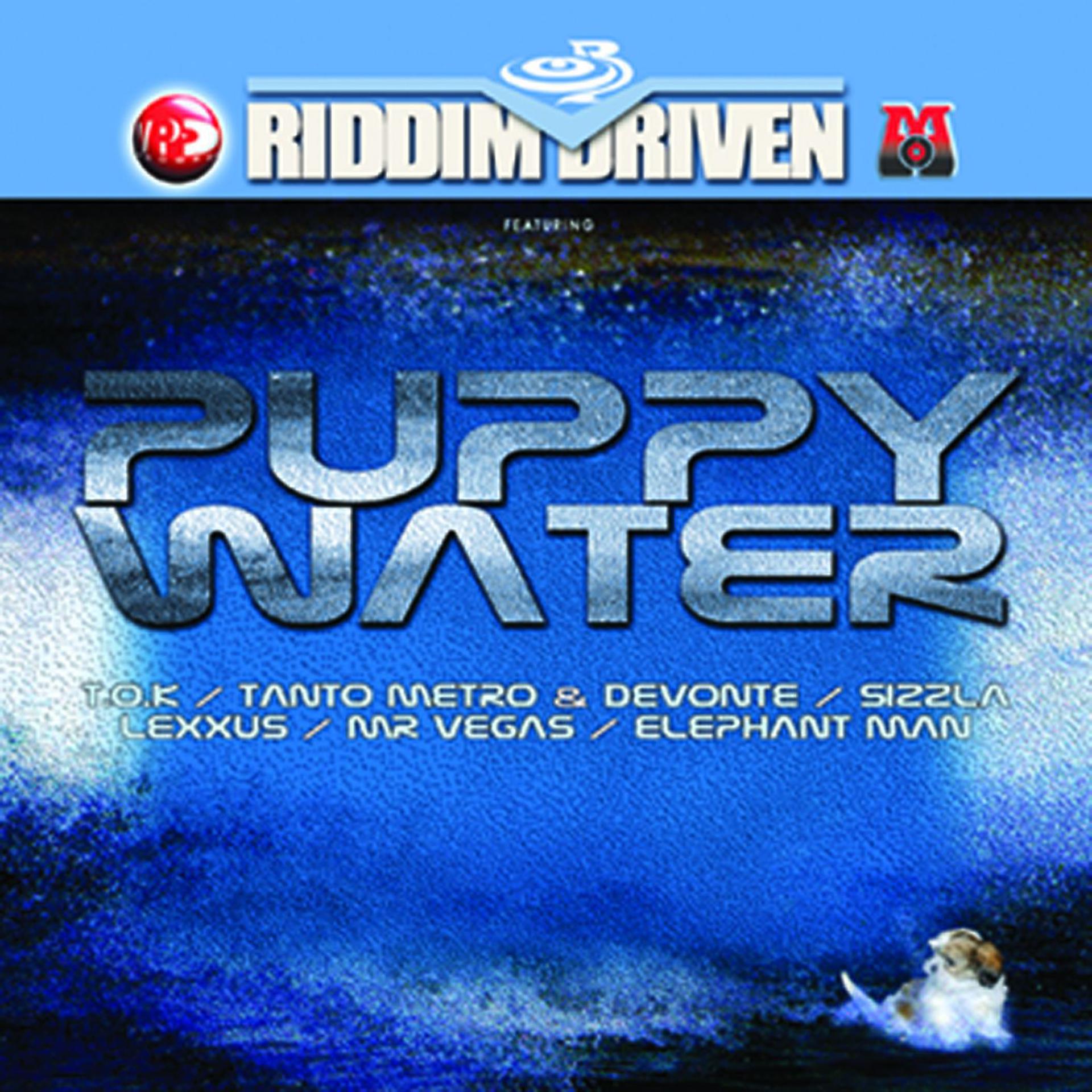 Постер альбома Riddim Driven: Puppy Water
