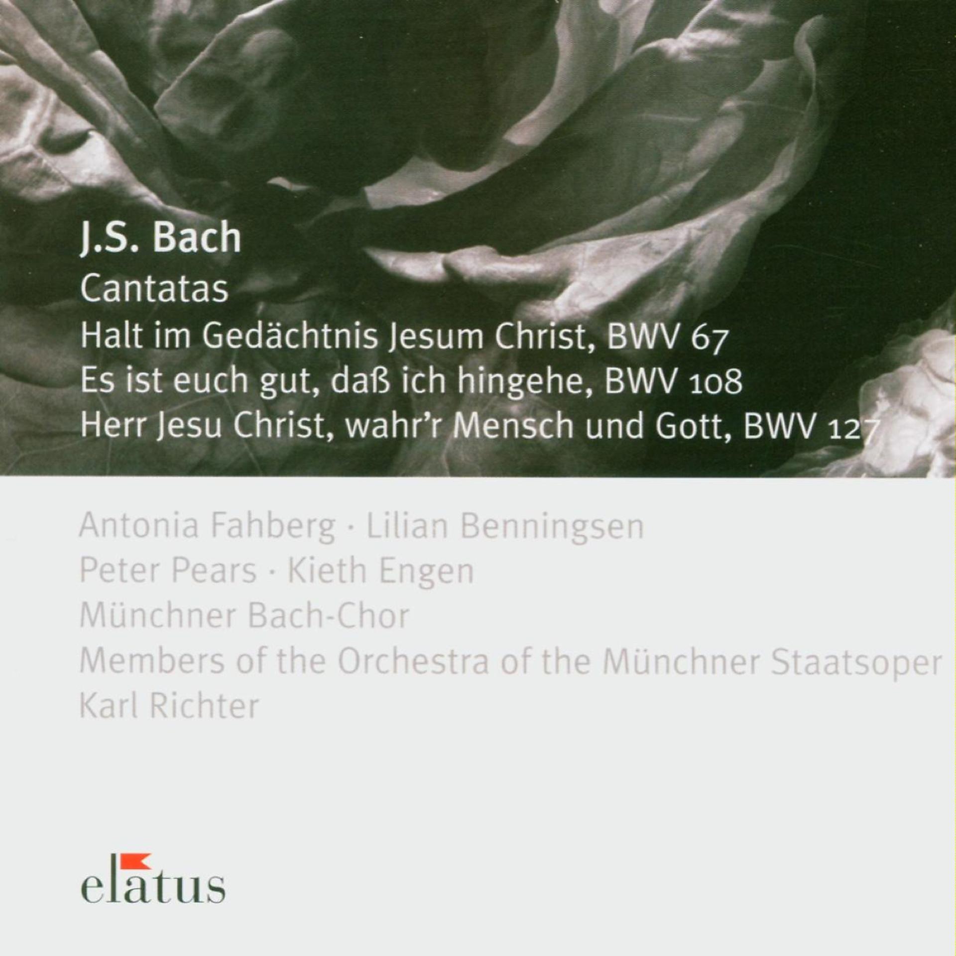 Постер альбома Bach, JS : Cantatas BWV Nos 67, 108 & 127  -  Elatus