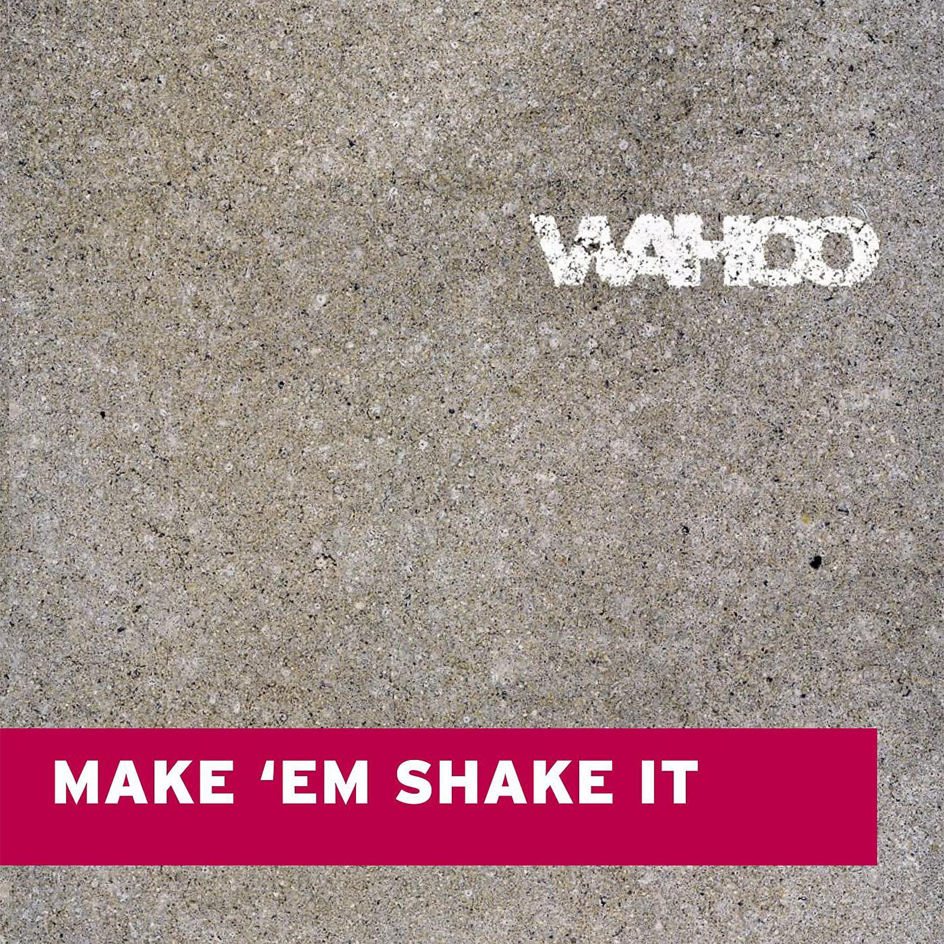 Постер альбома Make Em Shake It