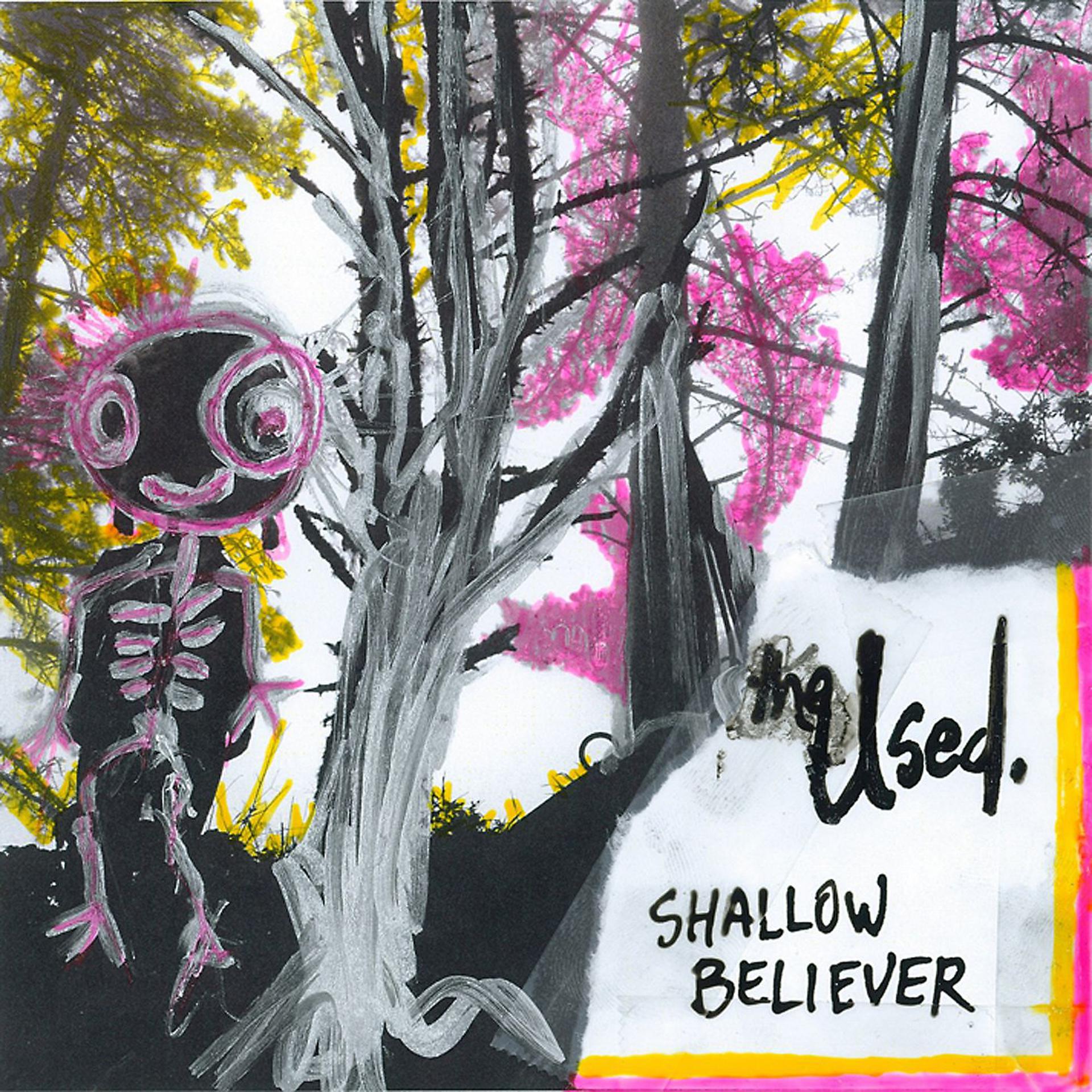 Постер альбома Shallow Believer